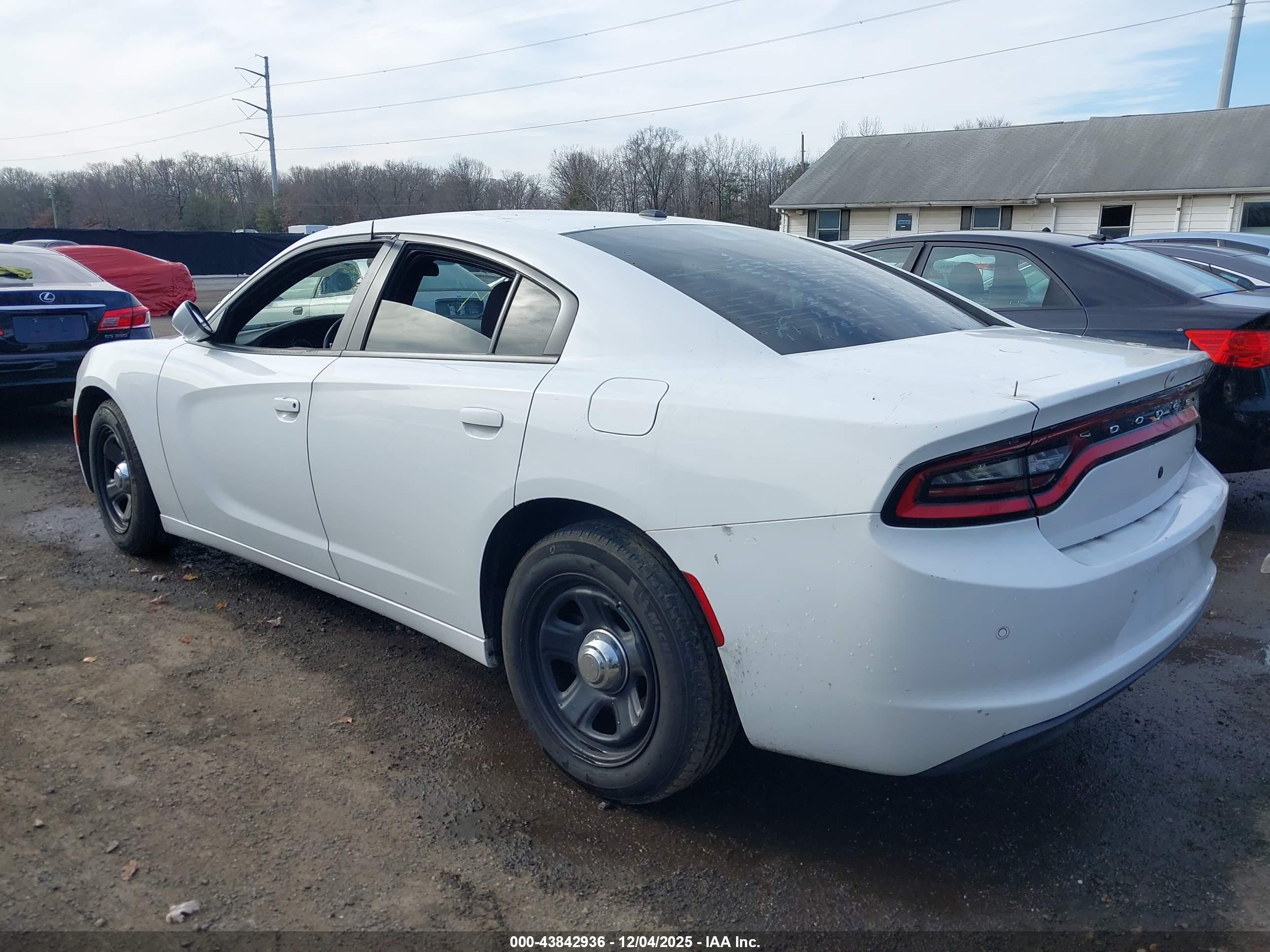 DODGE CHARGER image 3