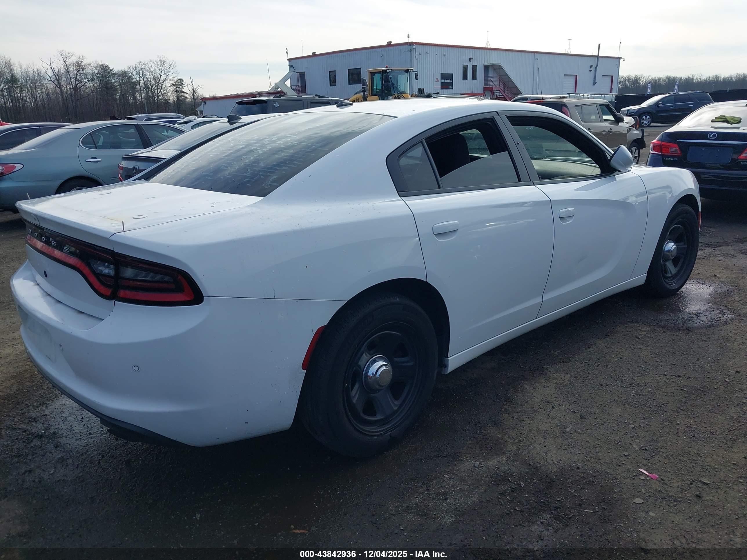 DODGE CHARGER image 4