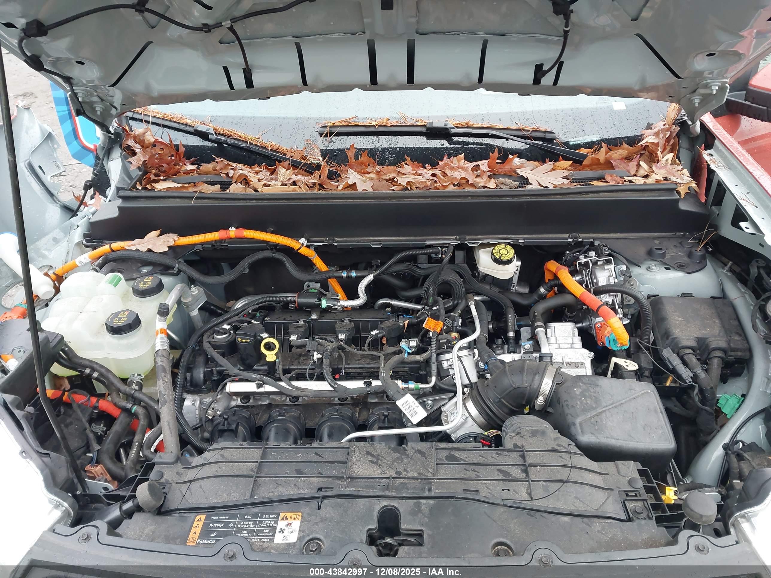 FORD MAVERICK image 10