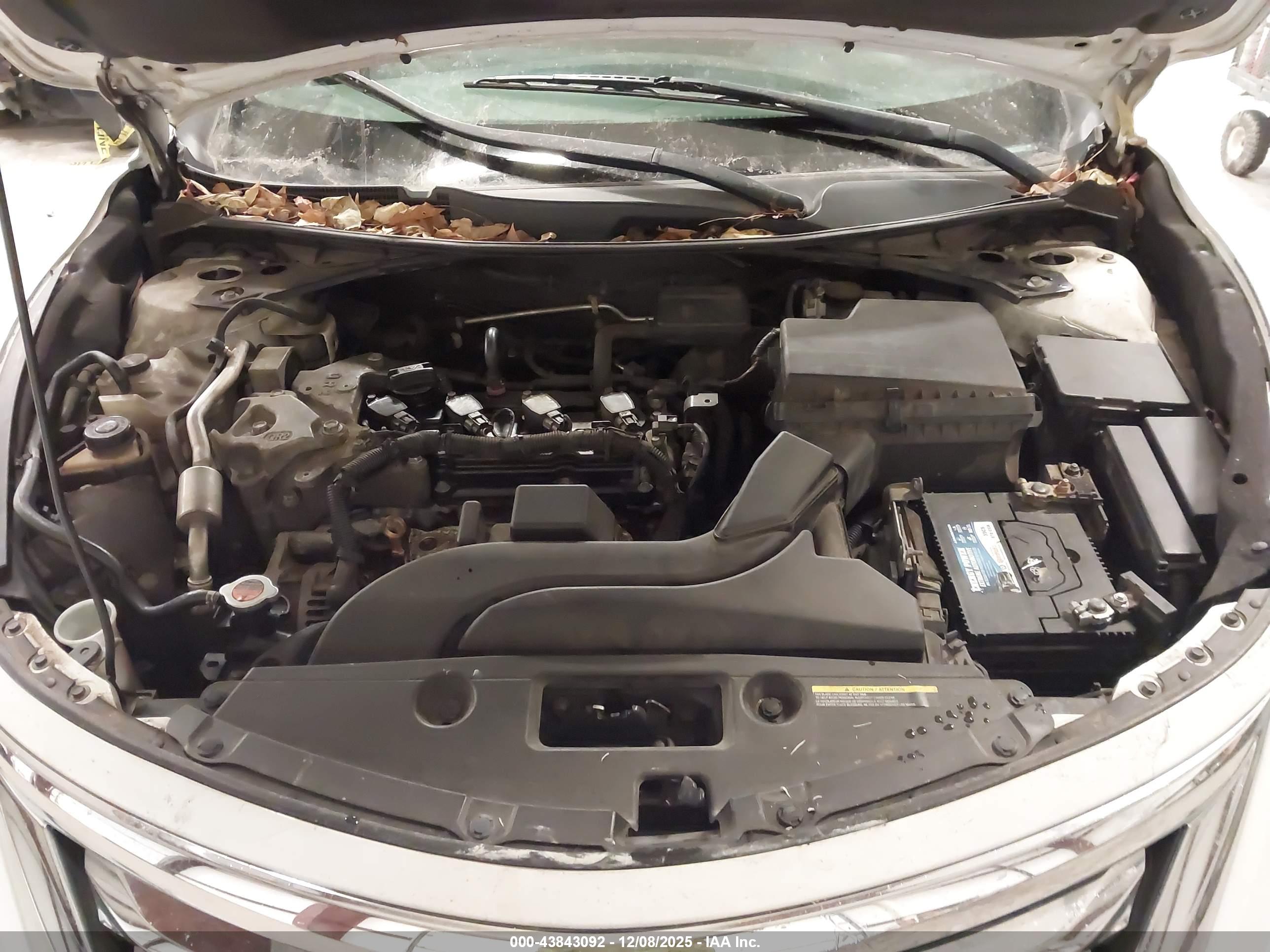 NISSAN ALTIMA image 10