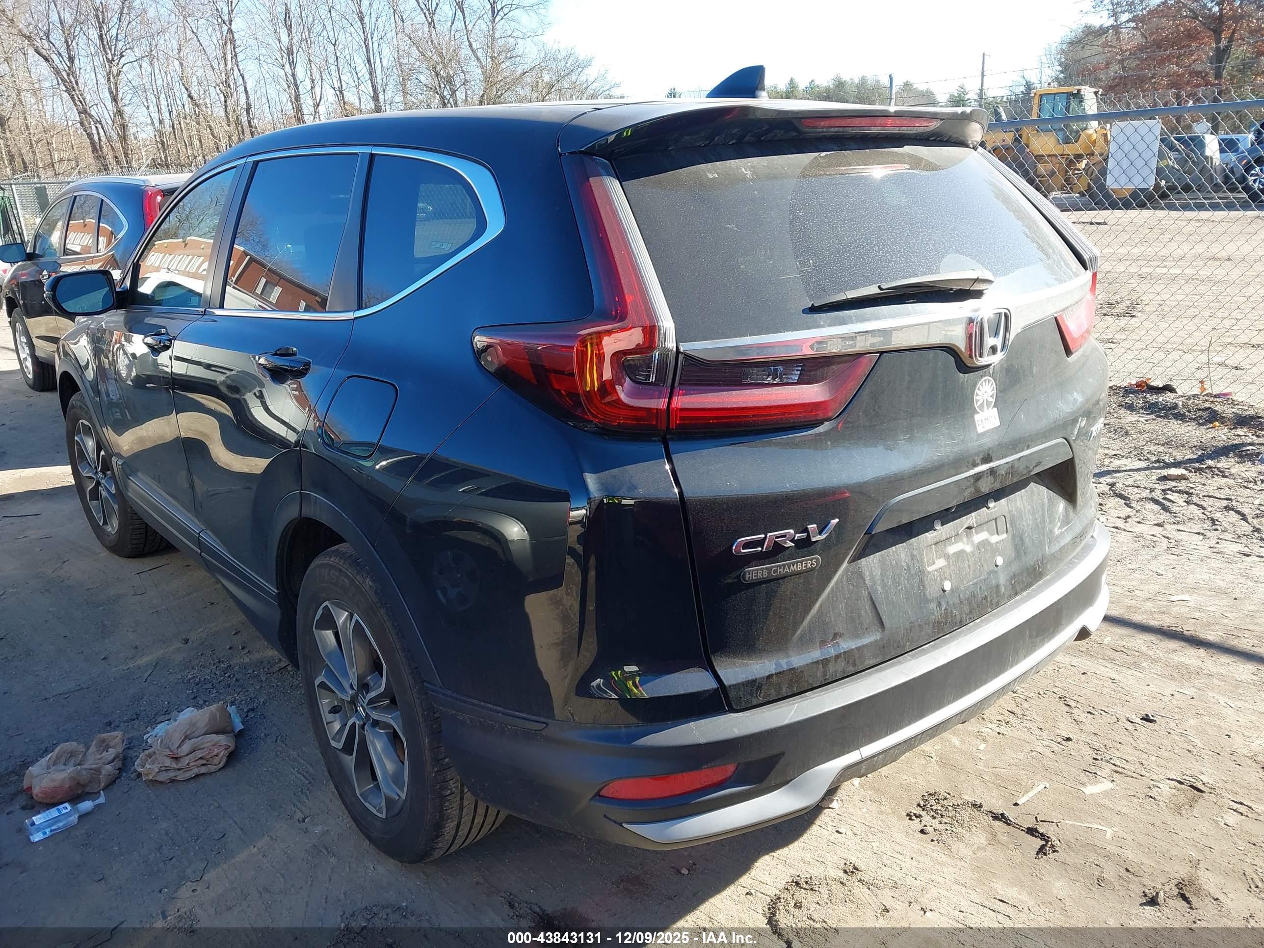 HONDA CR-V image 3