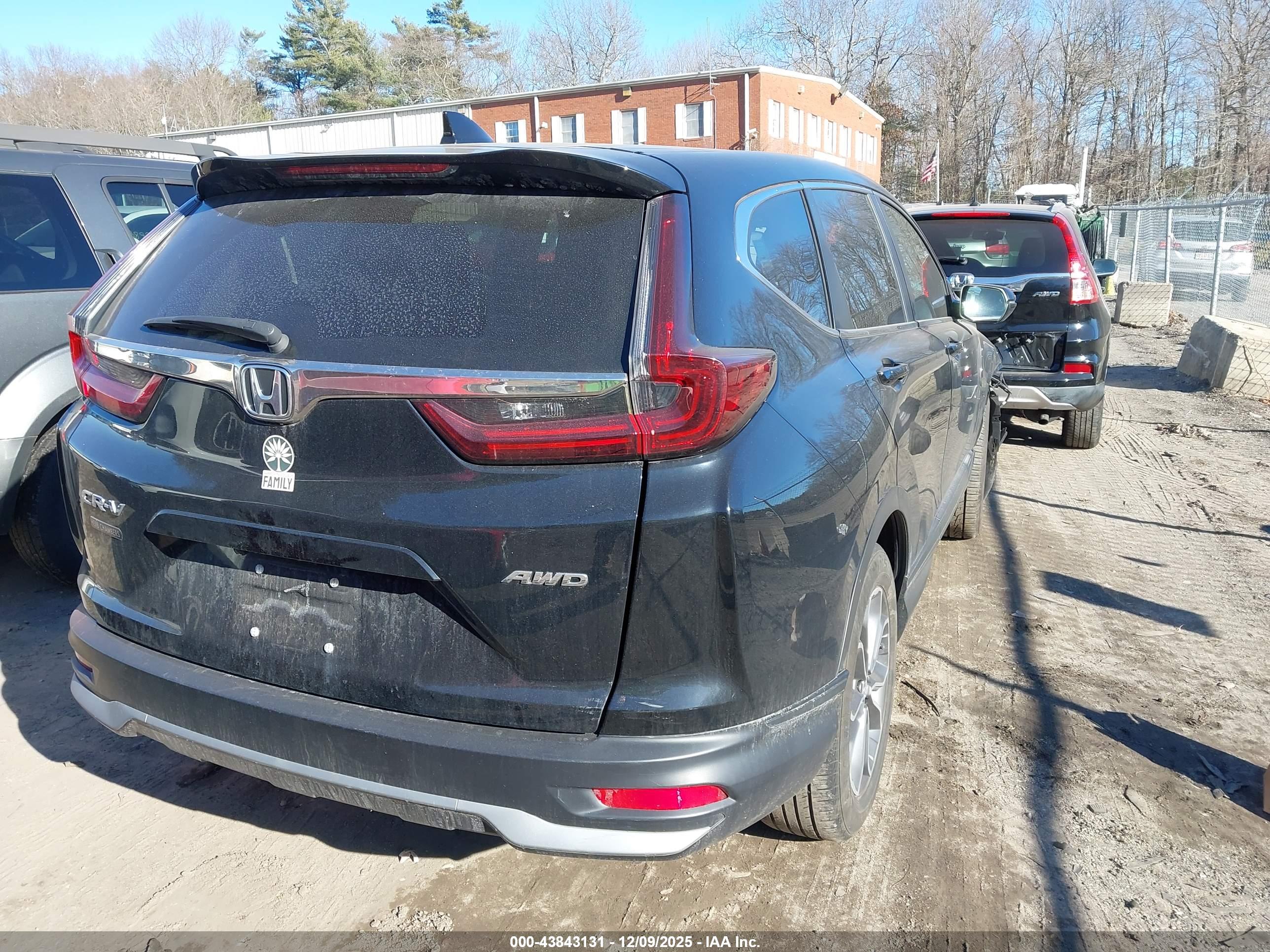 HONDA CR-V image 4