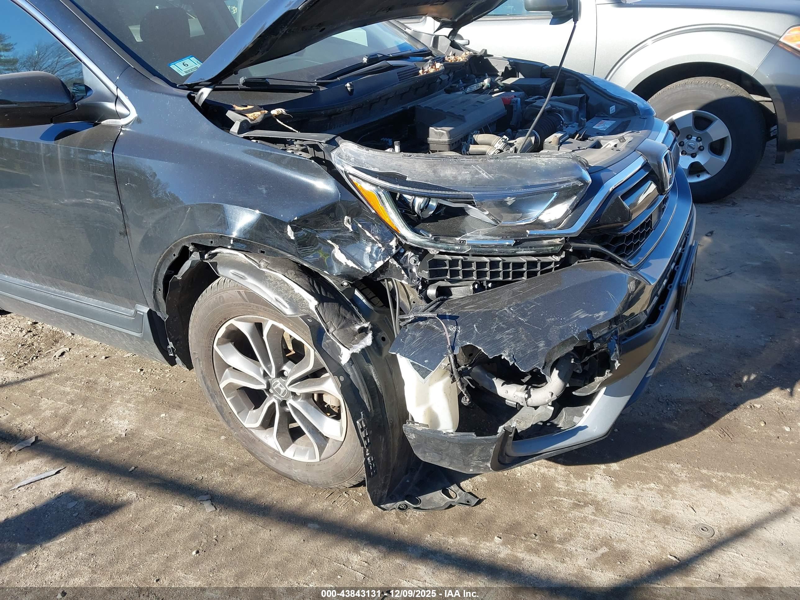 HONDA CR-V image 6