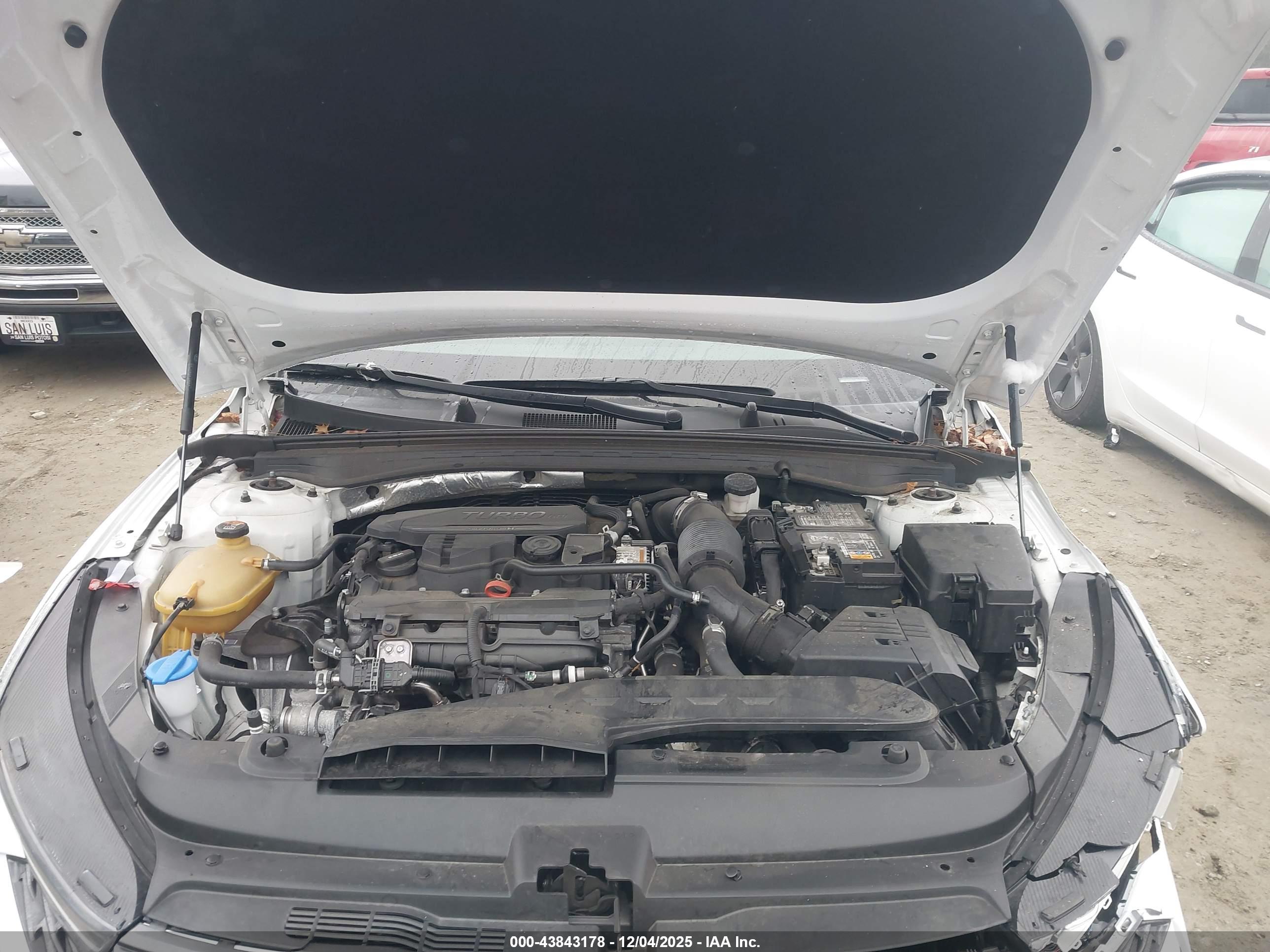 KIA K5 image 10