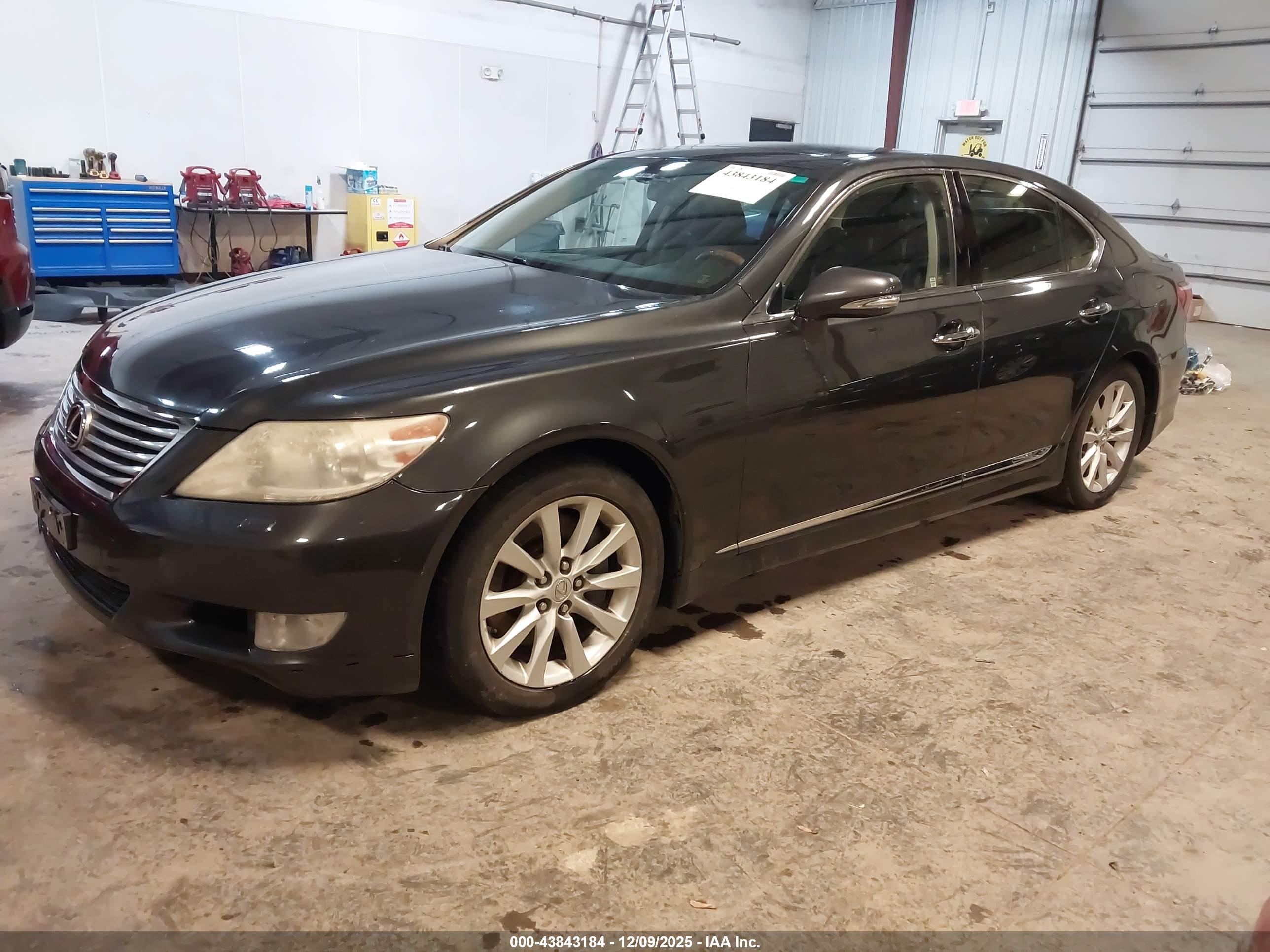 LEXUS LS image 2