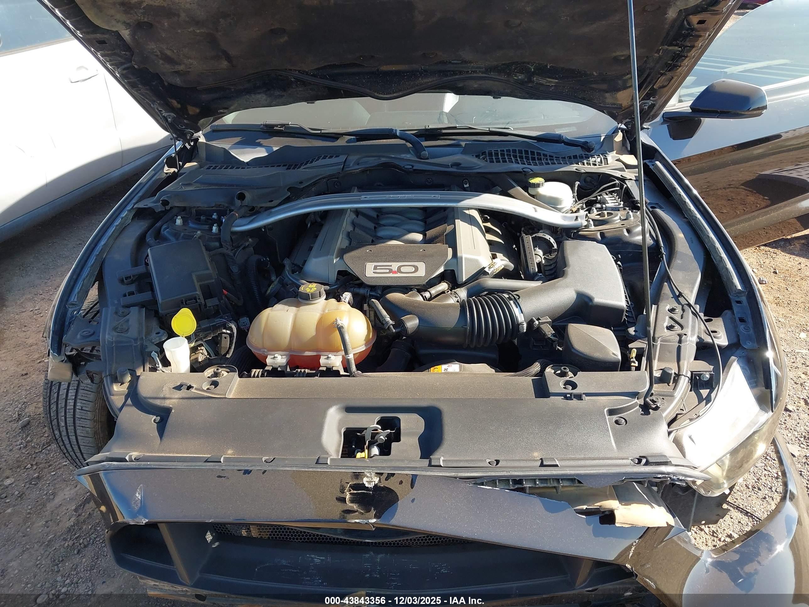 FORD MUSTANG image 10