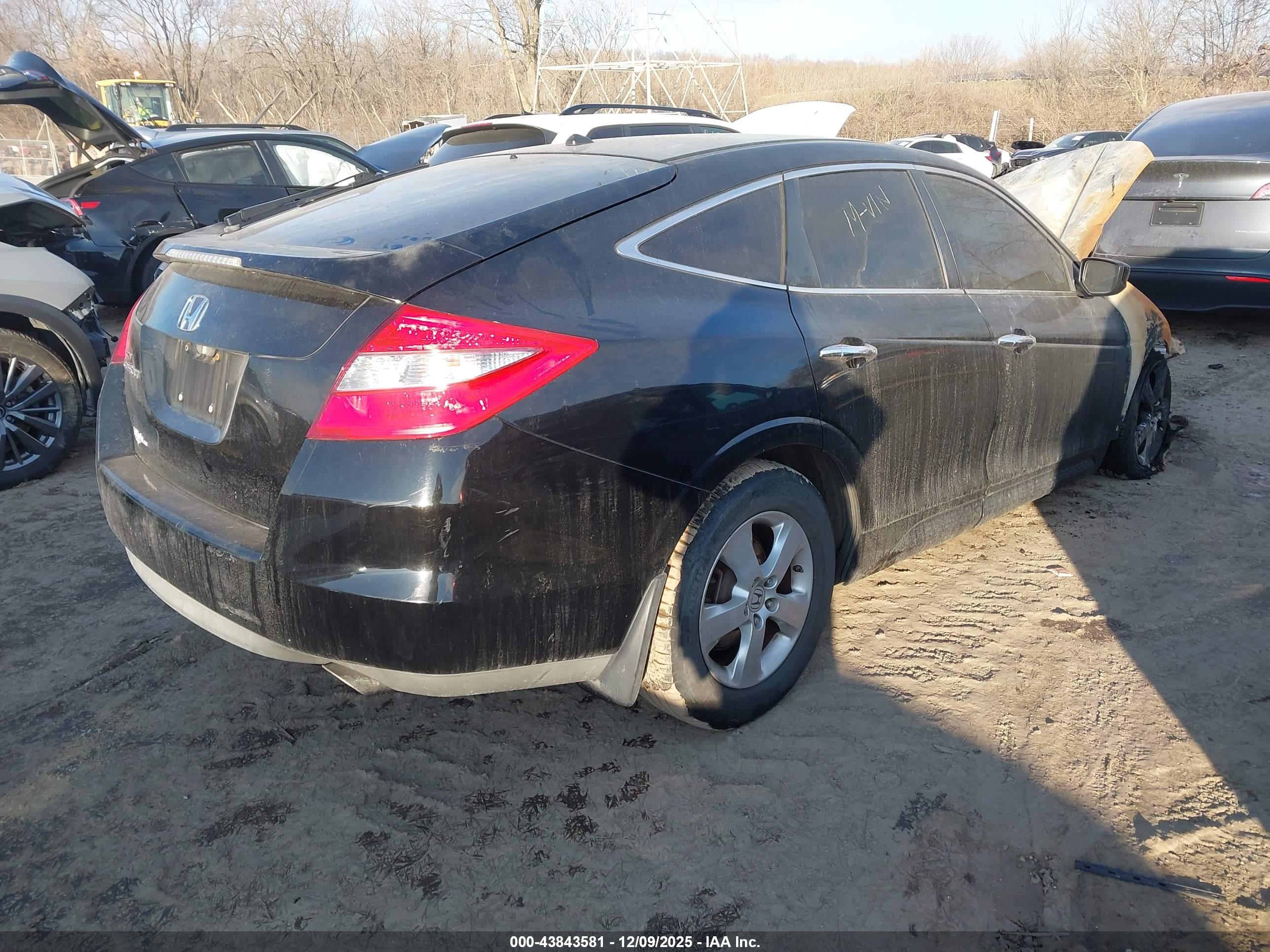 HONDA ACCORD image 4
