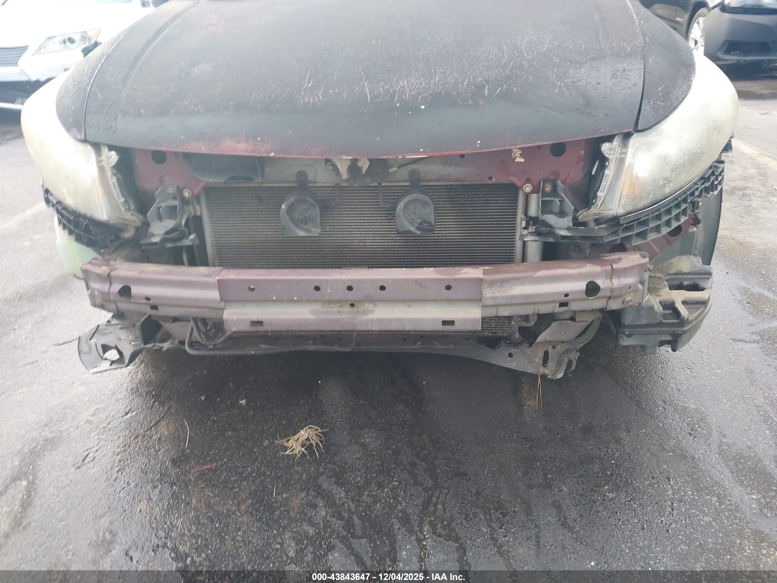 HONDA ACCORD image 6