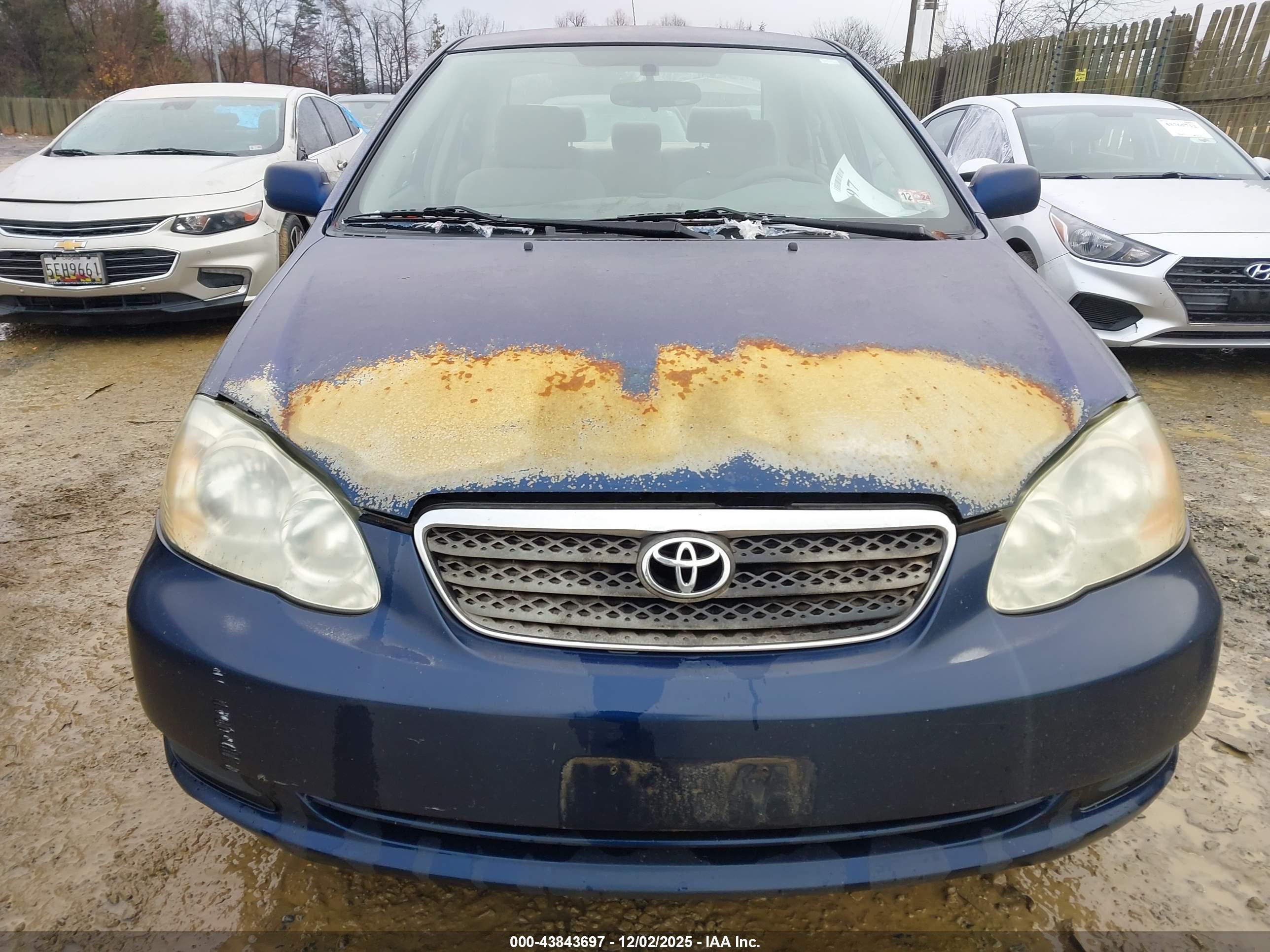 TOYOTA COROLLA image 6
