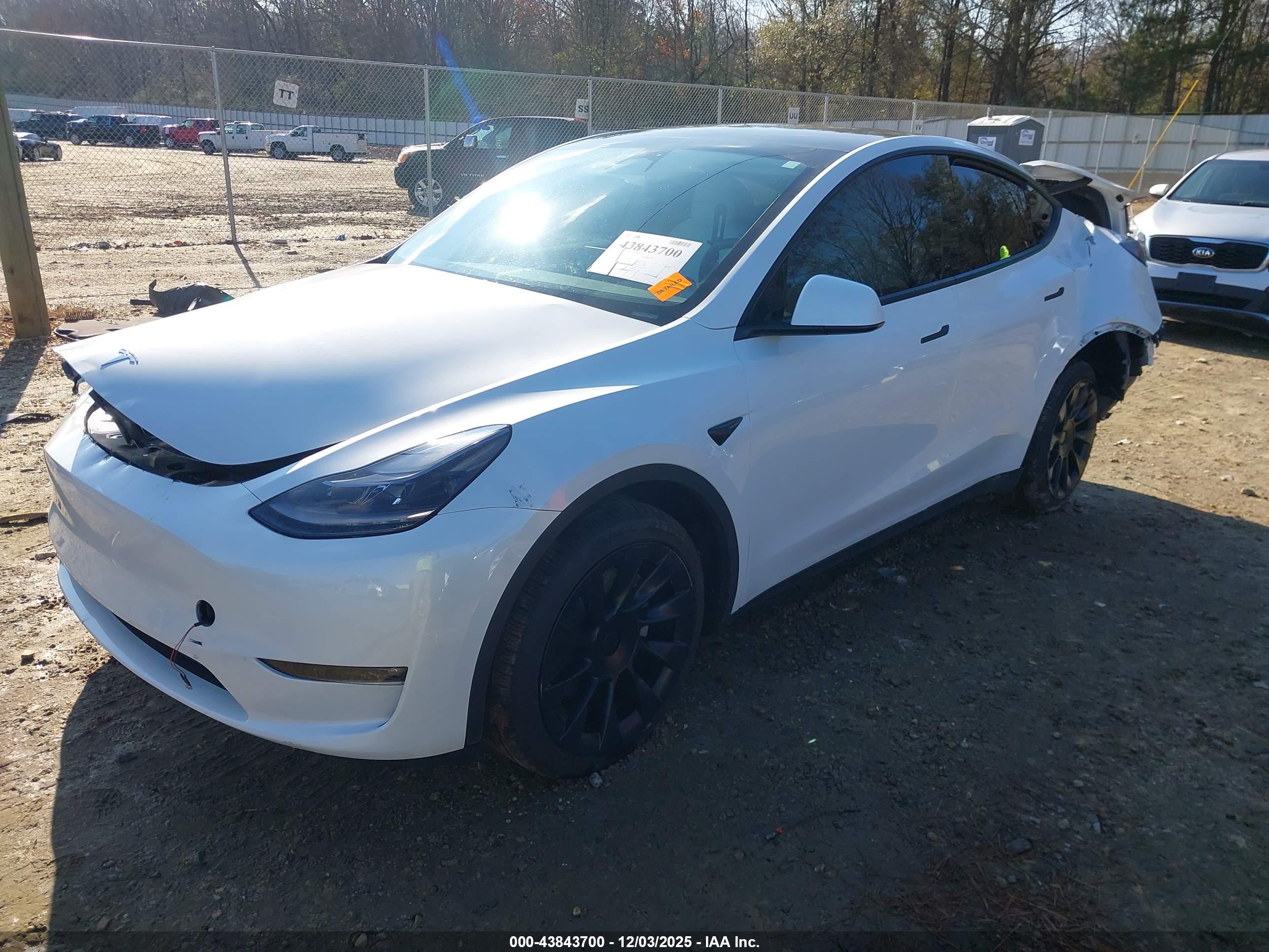 TESLA MODEL image 2