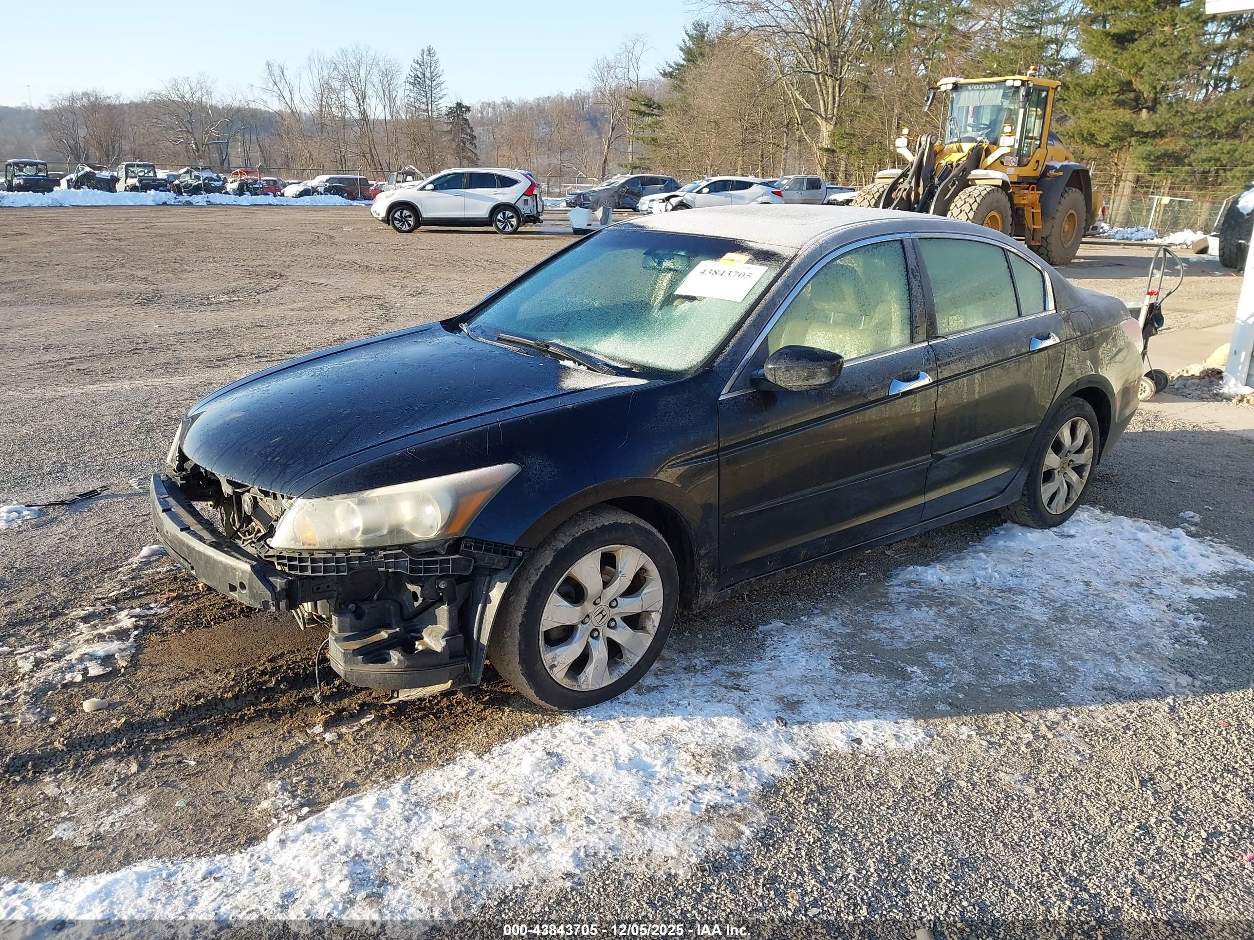 HONDA ACCORD image 2