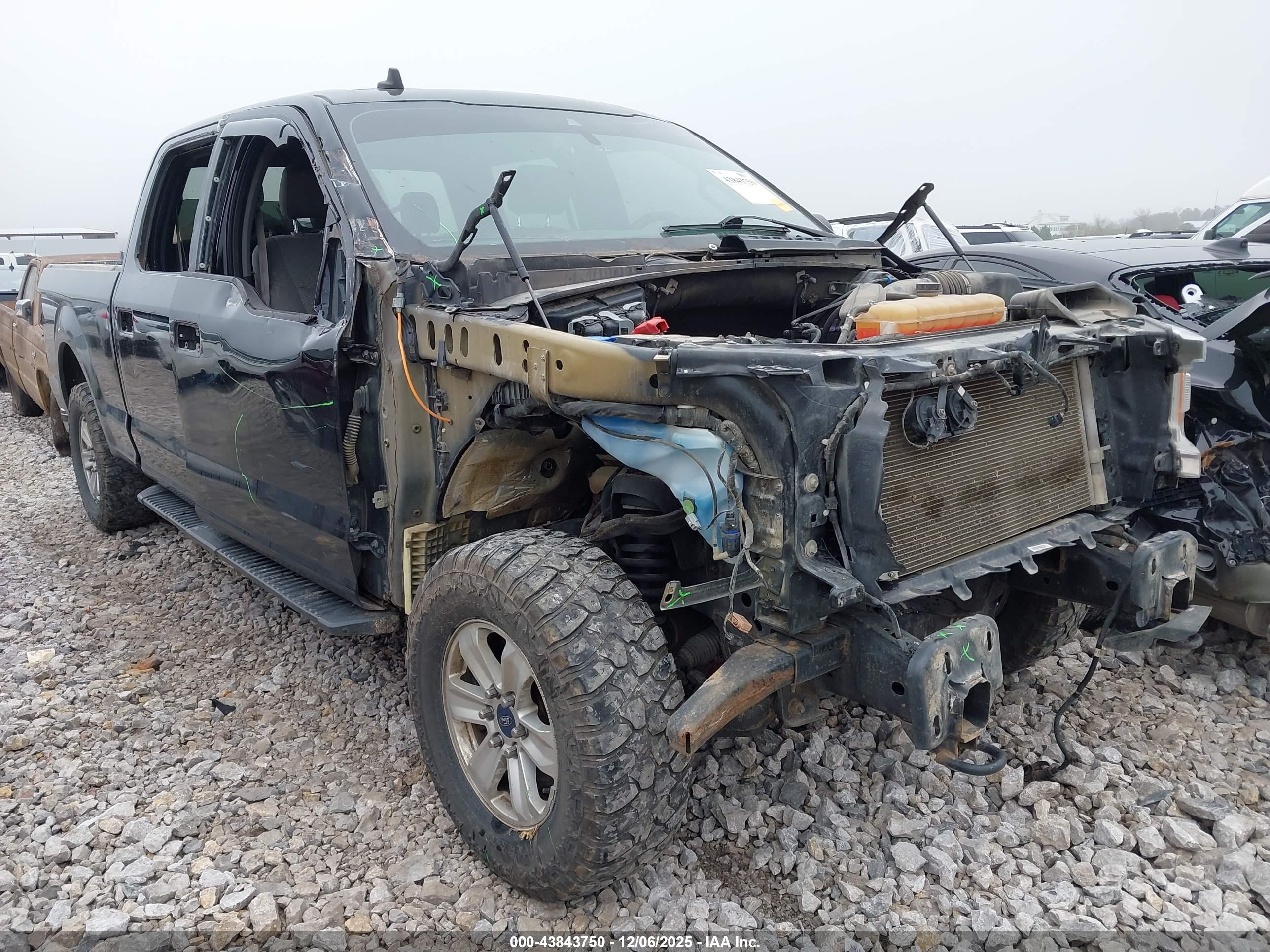 FORD F-150 image 6