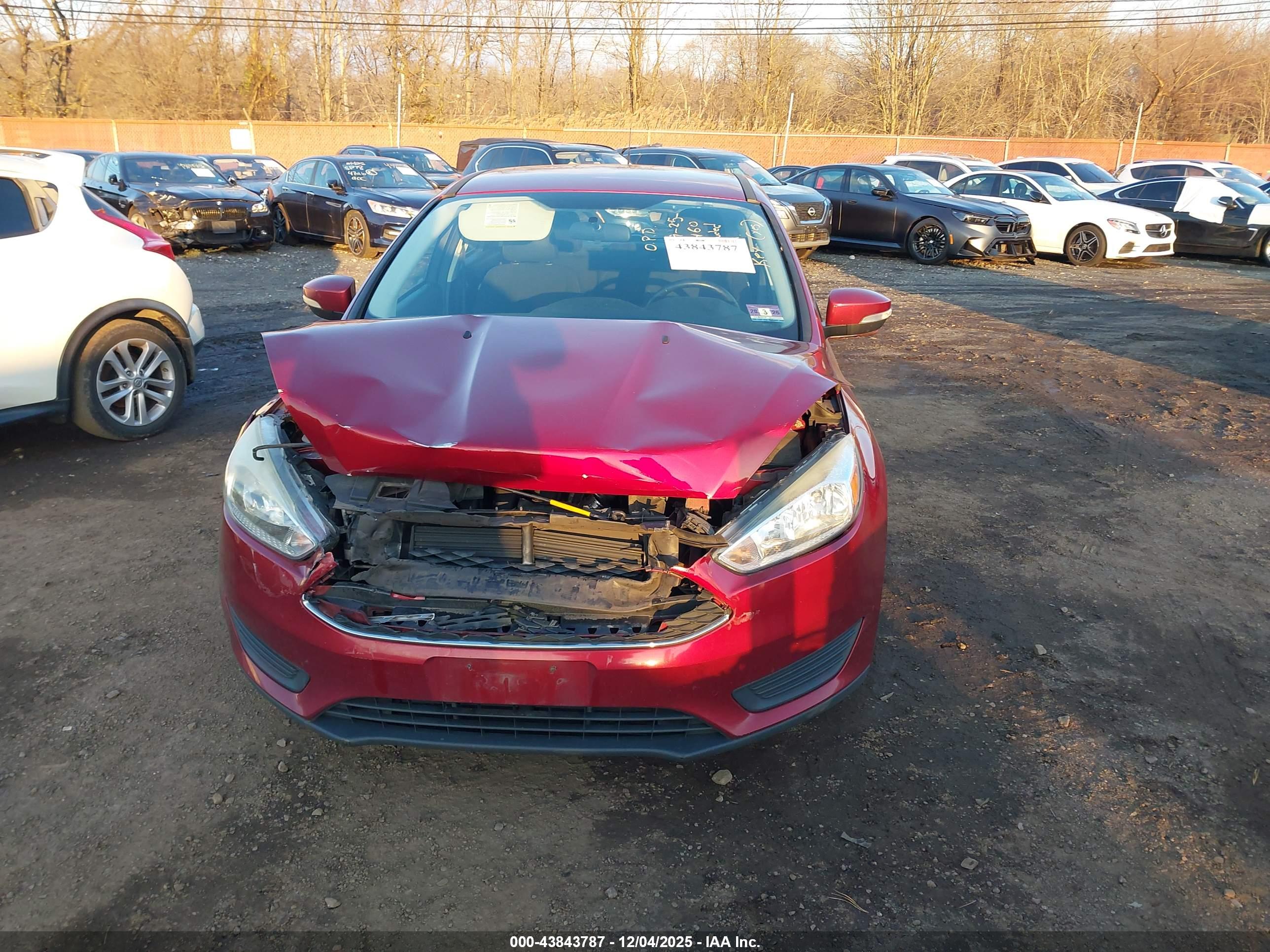 FORD FOCUS image 6