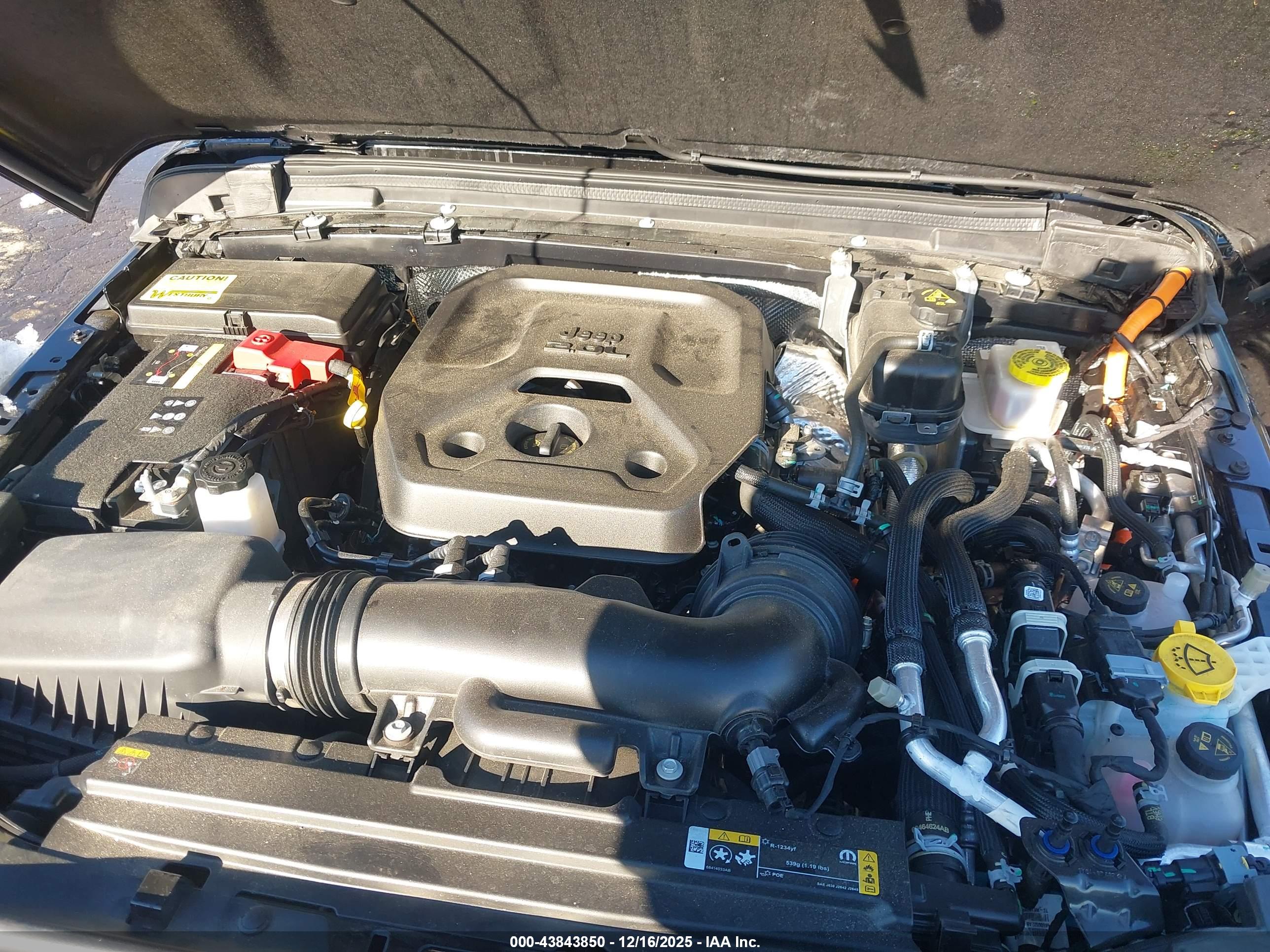 JEEP WRANGLER image 10