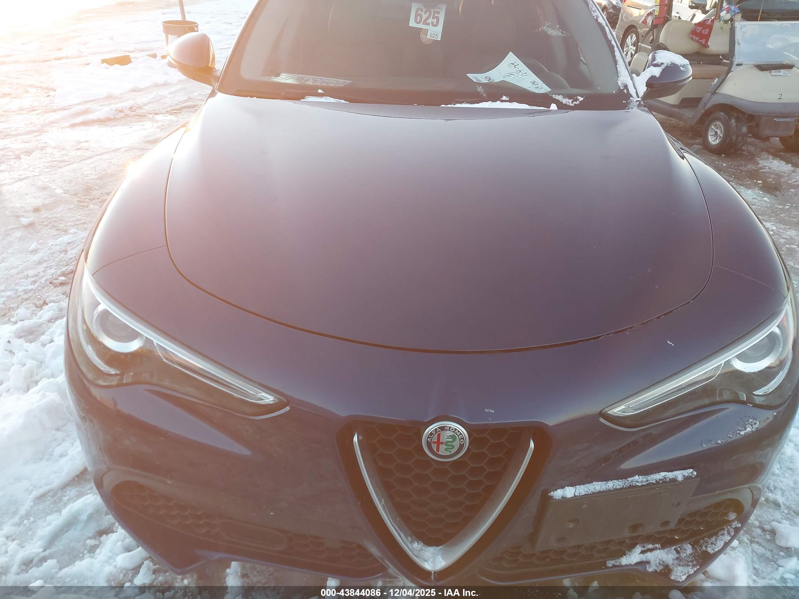 ALFA ROMEO image 6