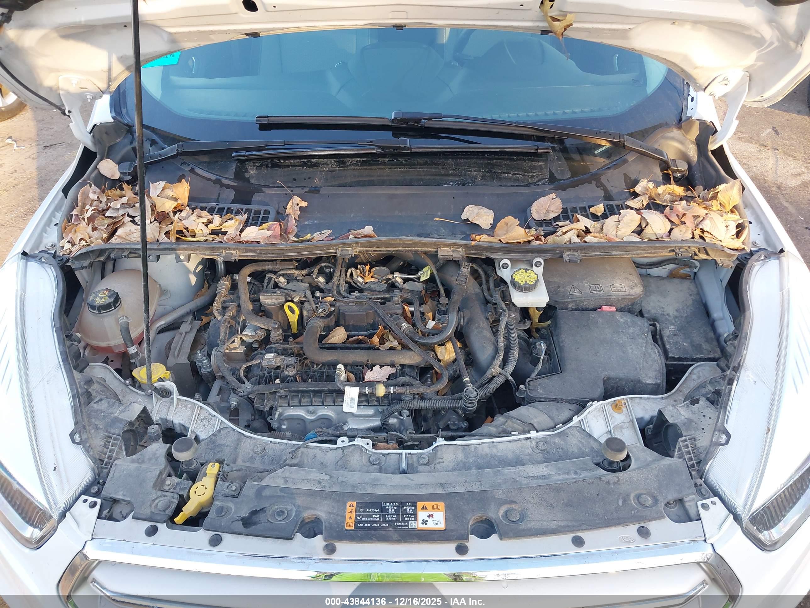 FORD ESCAPE image 10