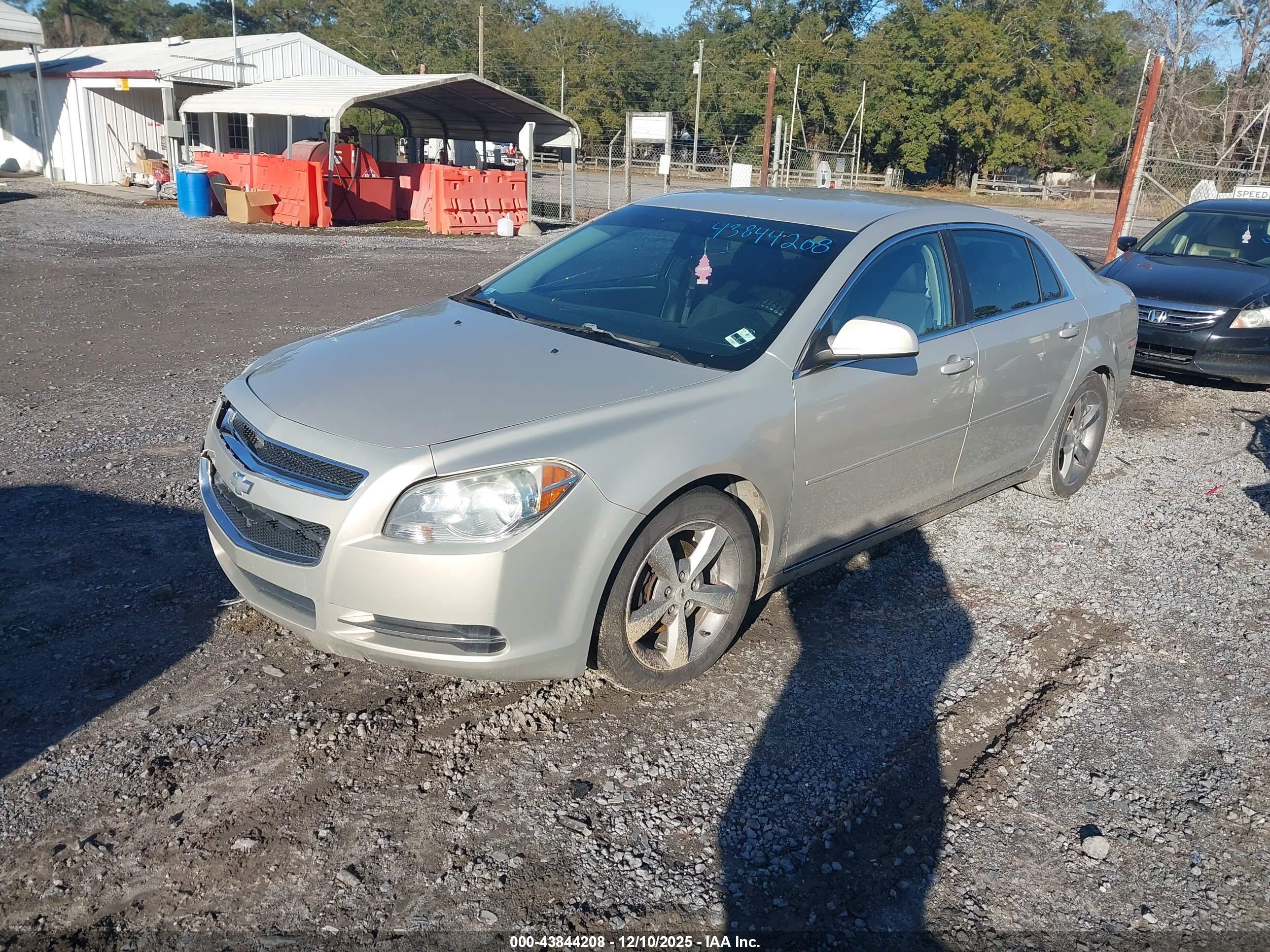 CHEVROLET MALIBU image 2