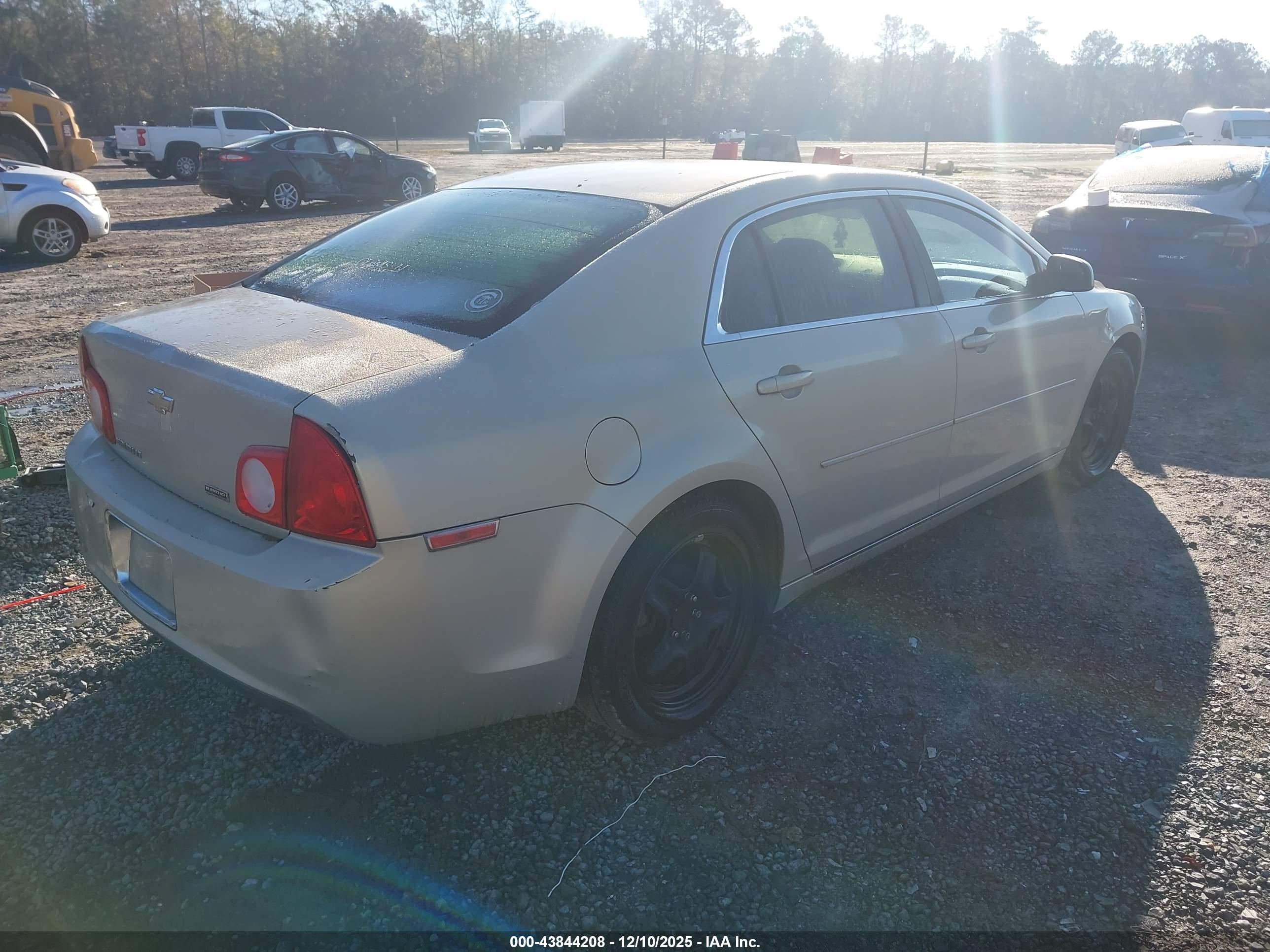CHEVROLET MALIBU image 4