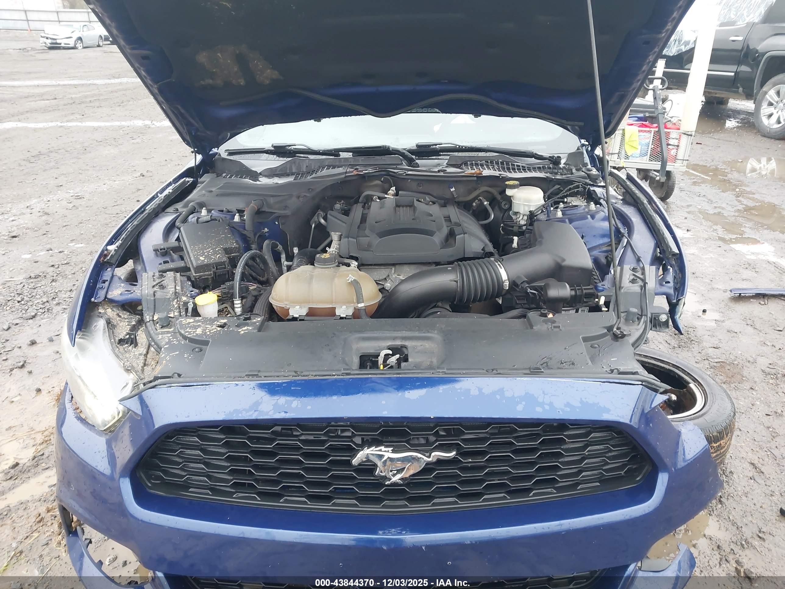 FORD MUSTANG image 10