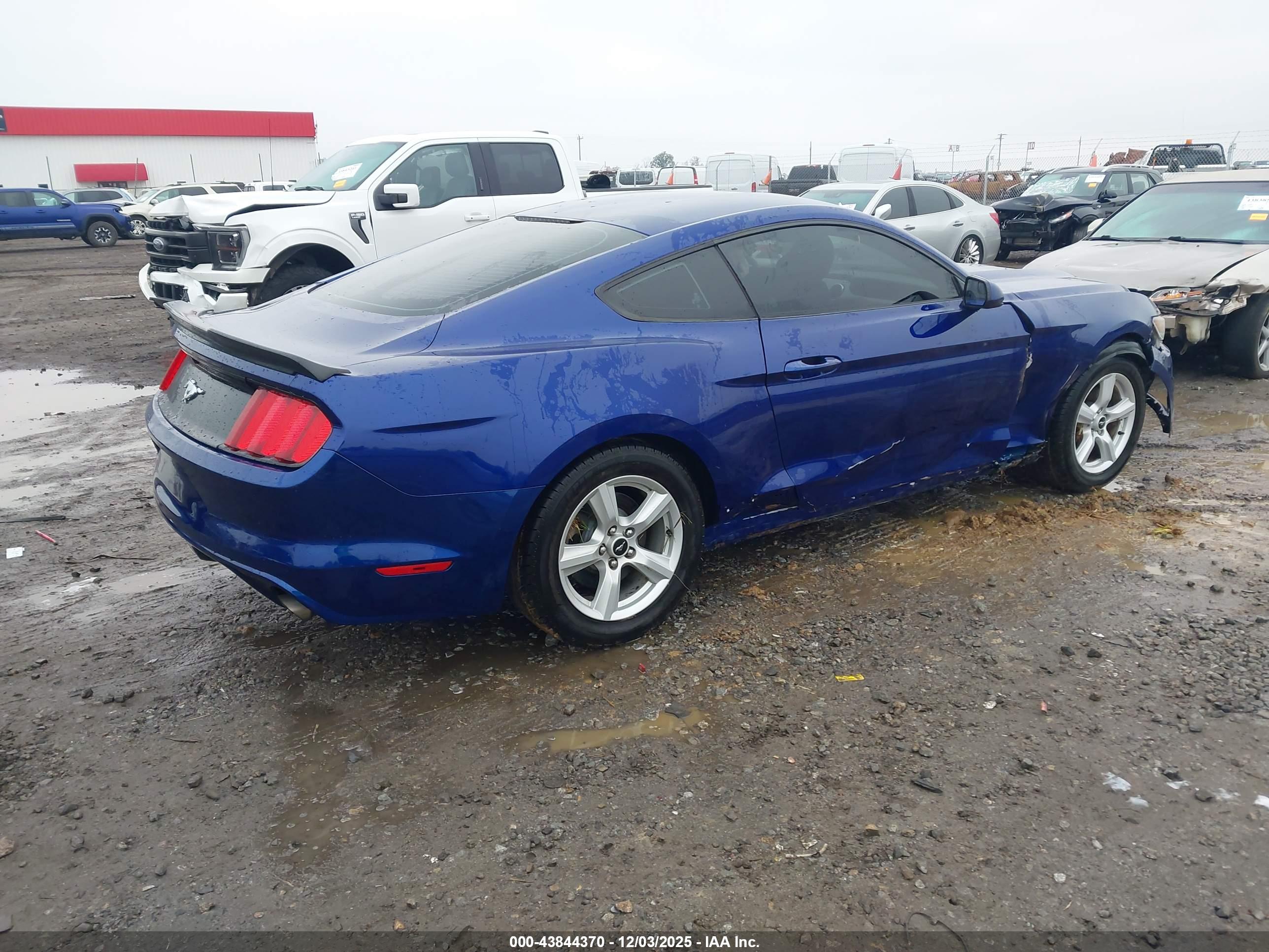 FORD MUSTANG image 4