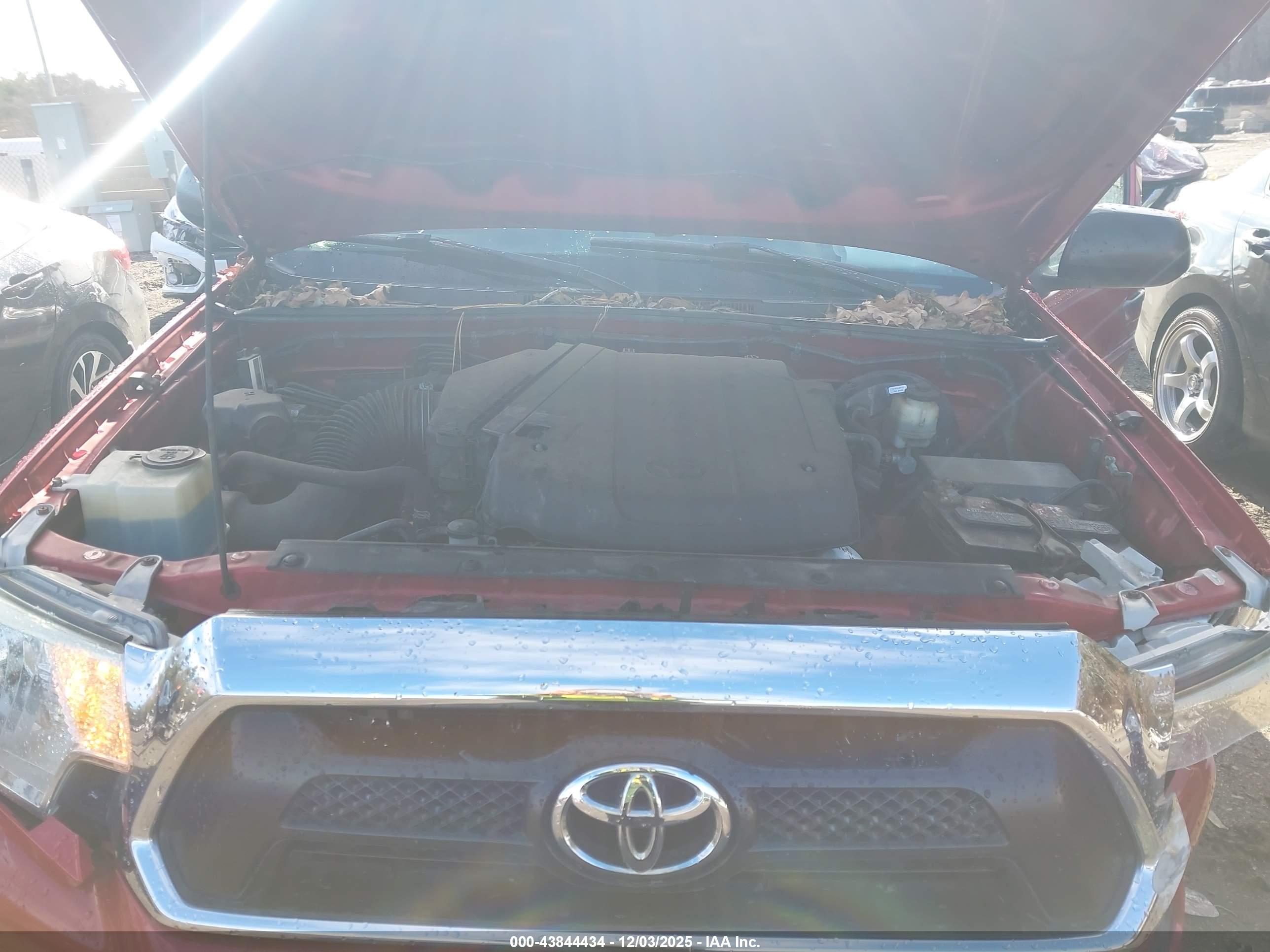 TOYOTA TACOMA image 10
