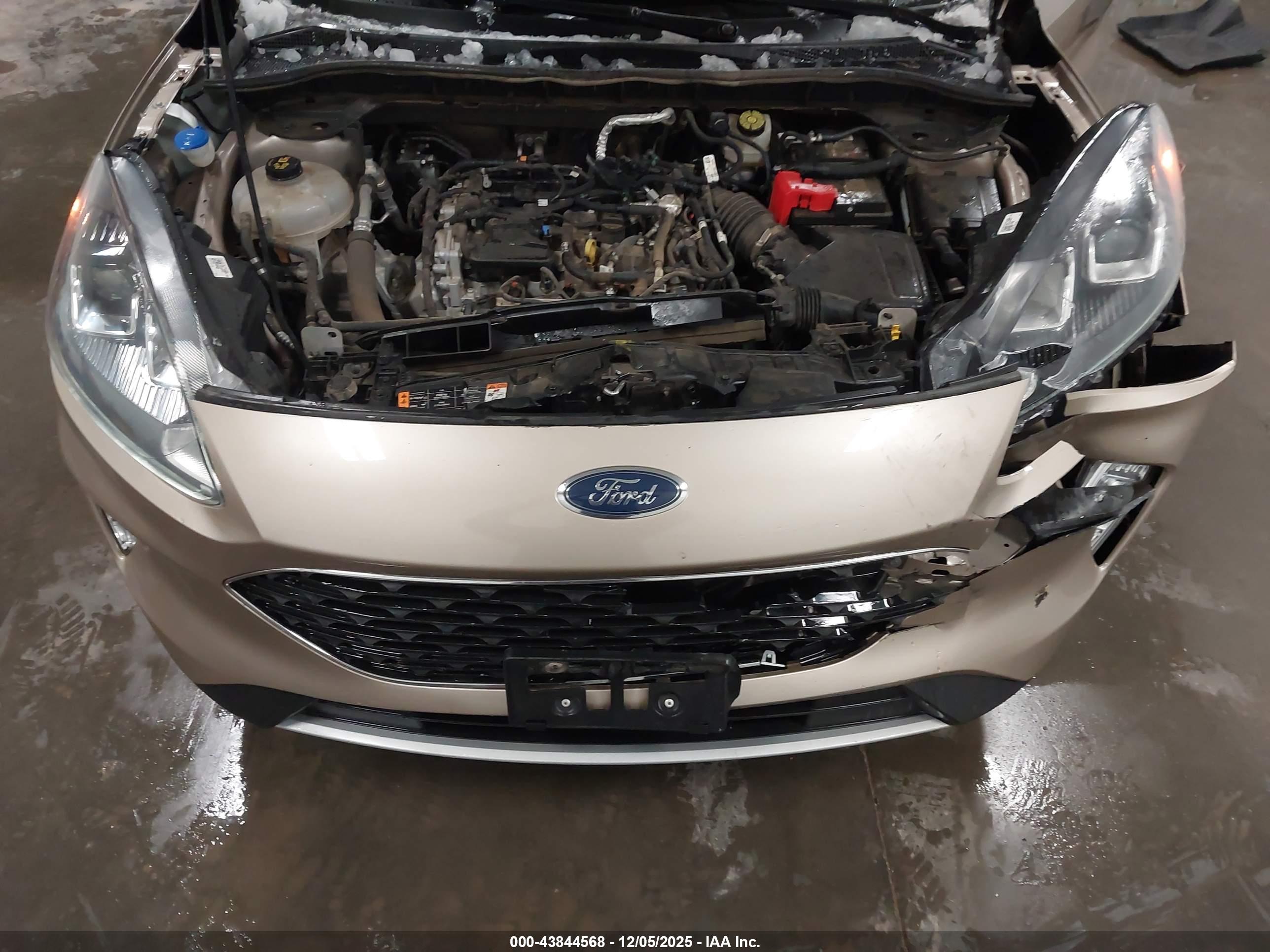 FORD ESCAPE image 10