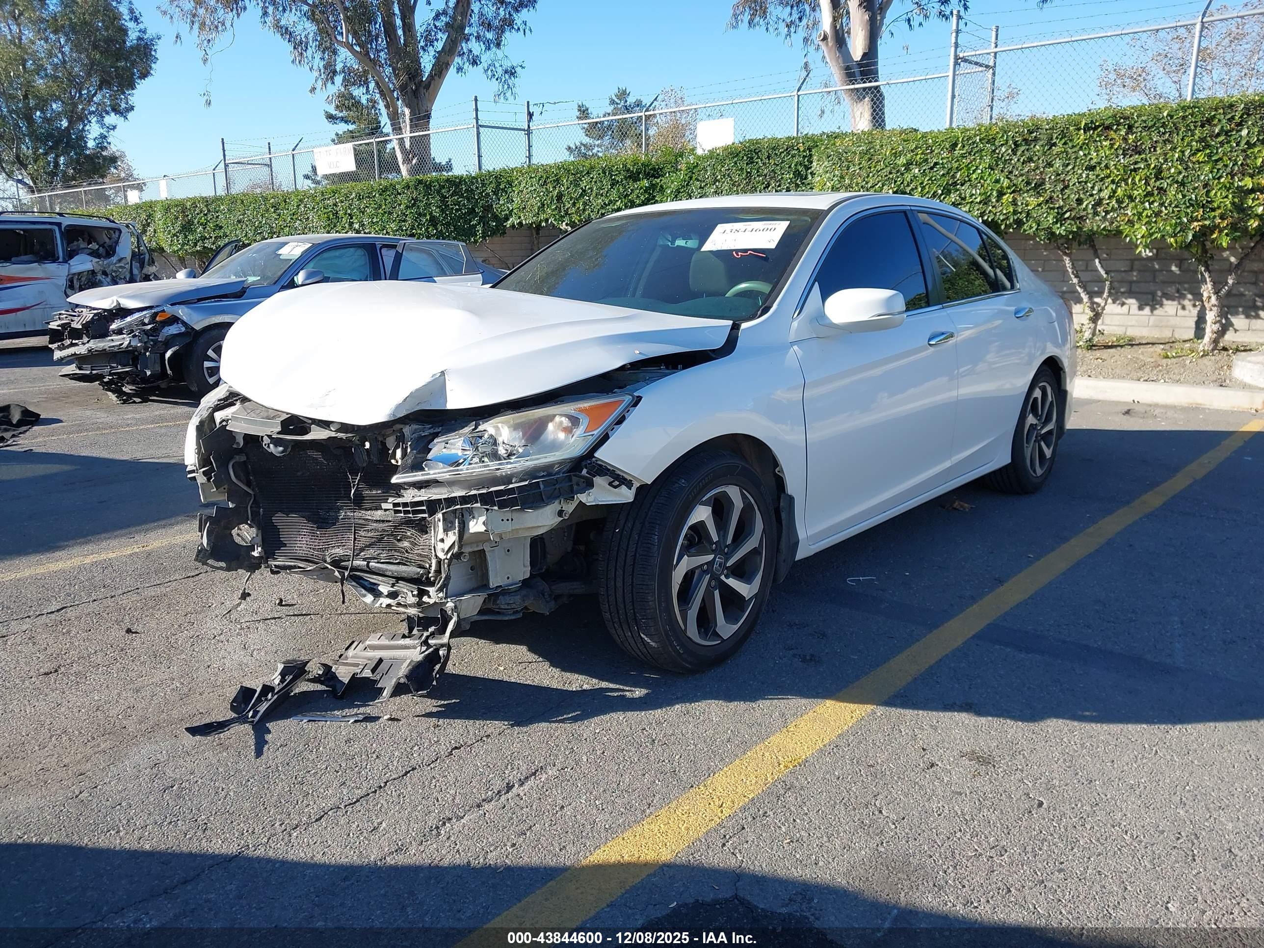 HONDA ACCORD image 2