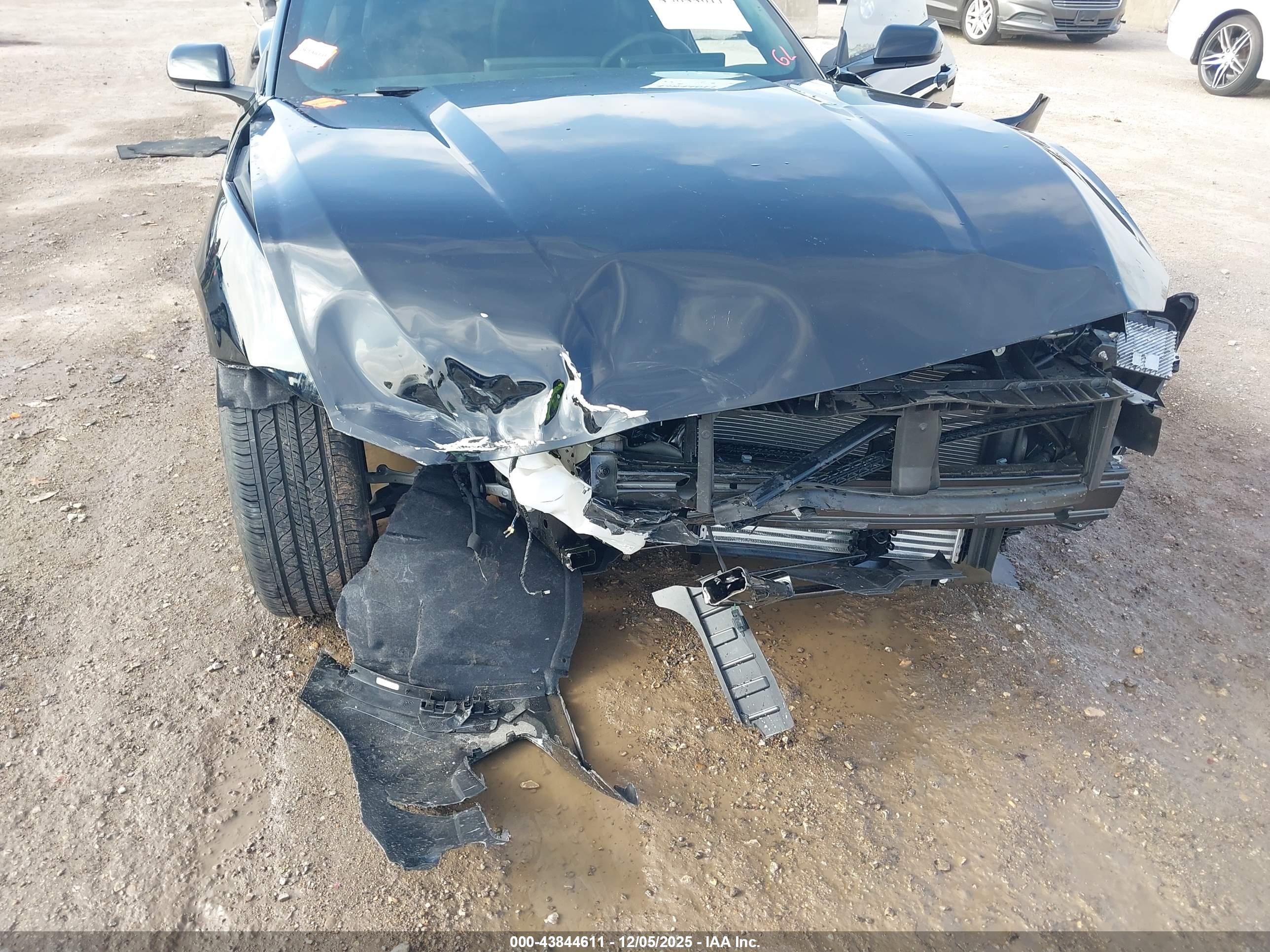 FORD MUSTANG image 6