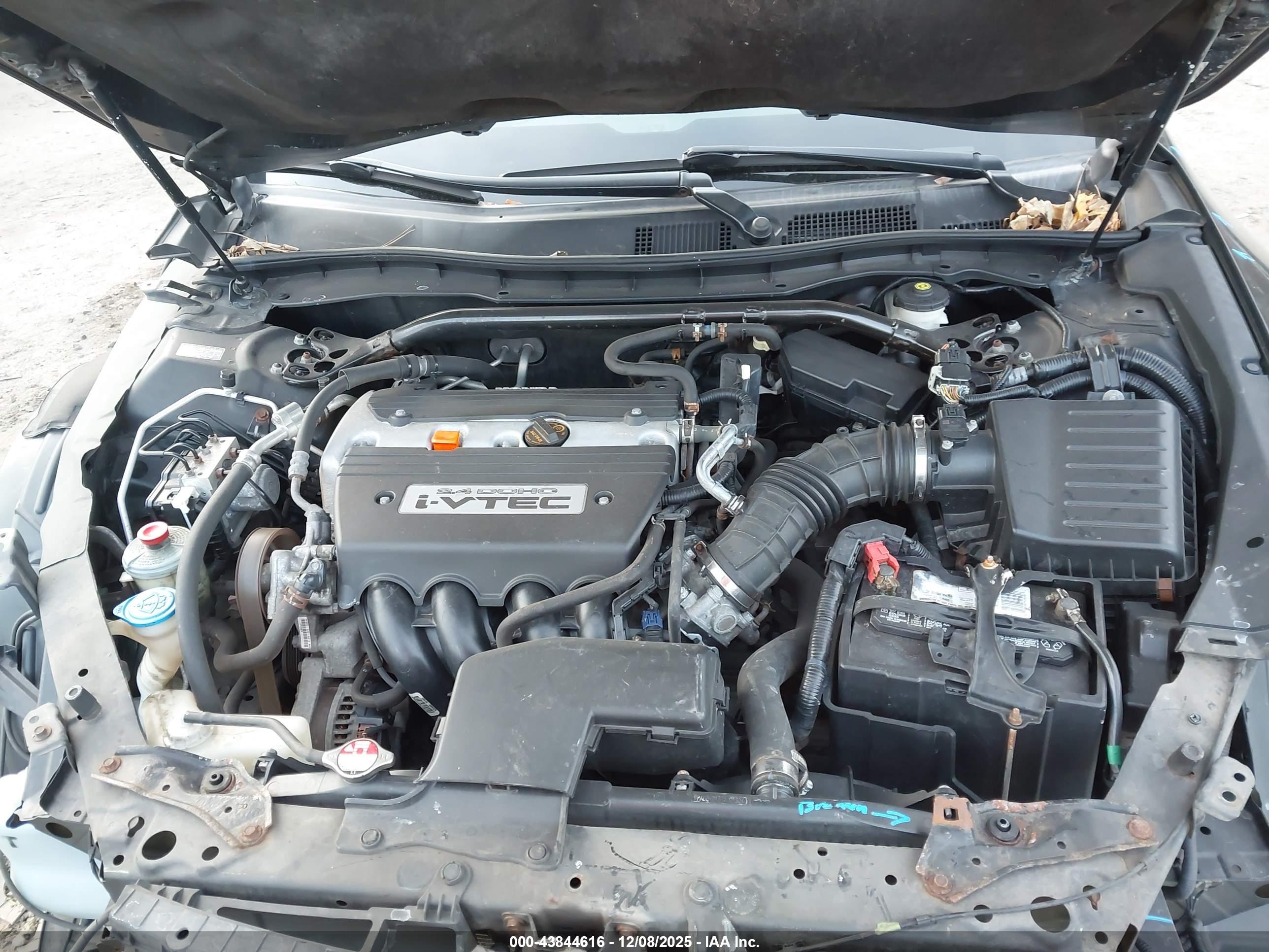 HONDA CROSSTOUR image 10