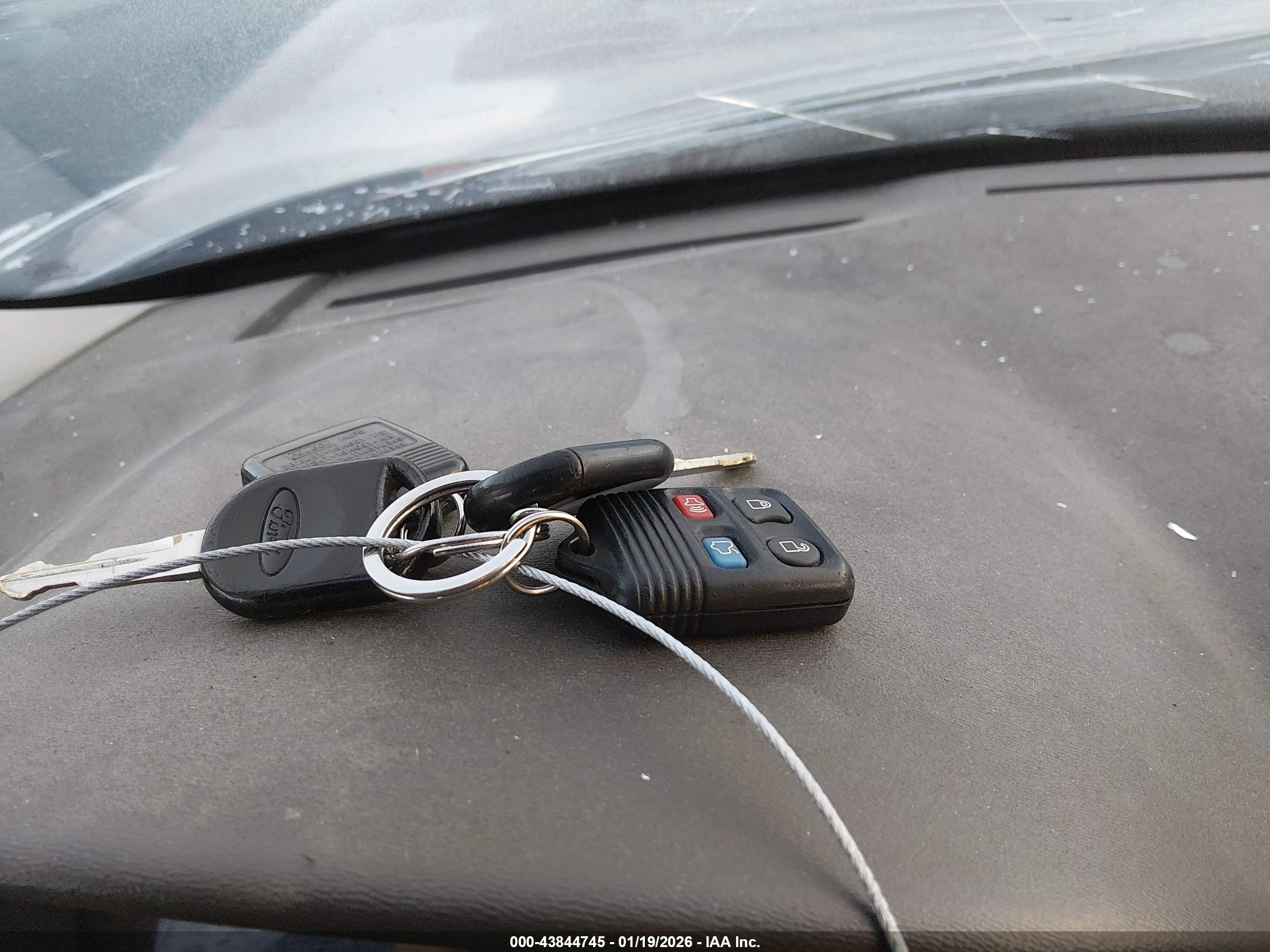 FORD FOCUS image 11