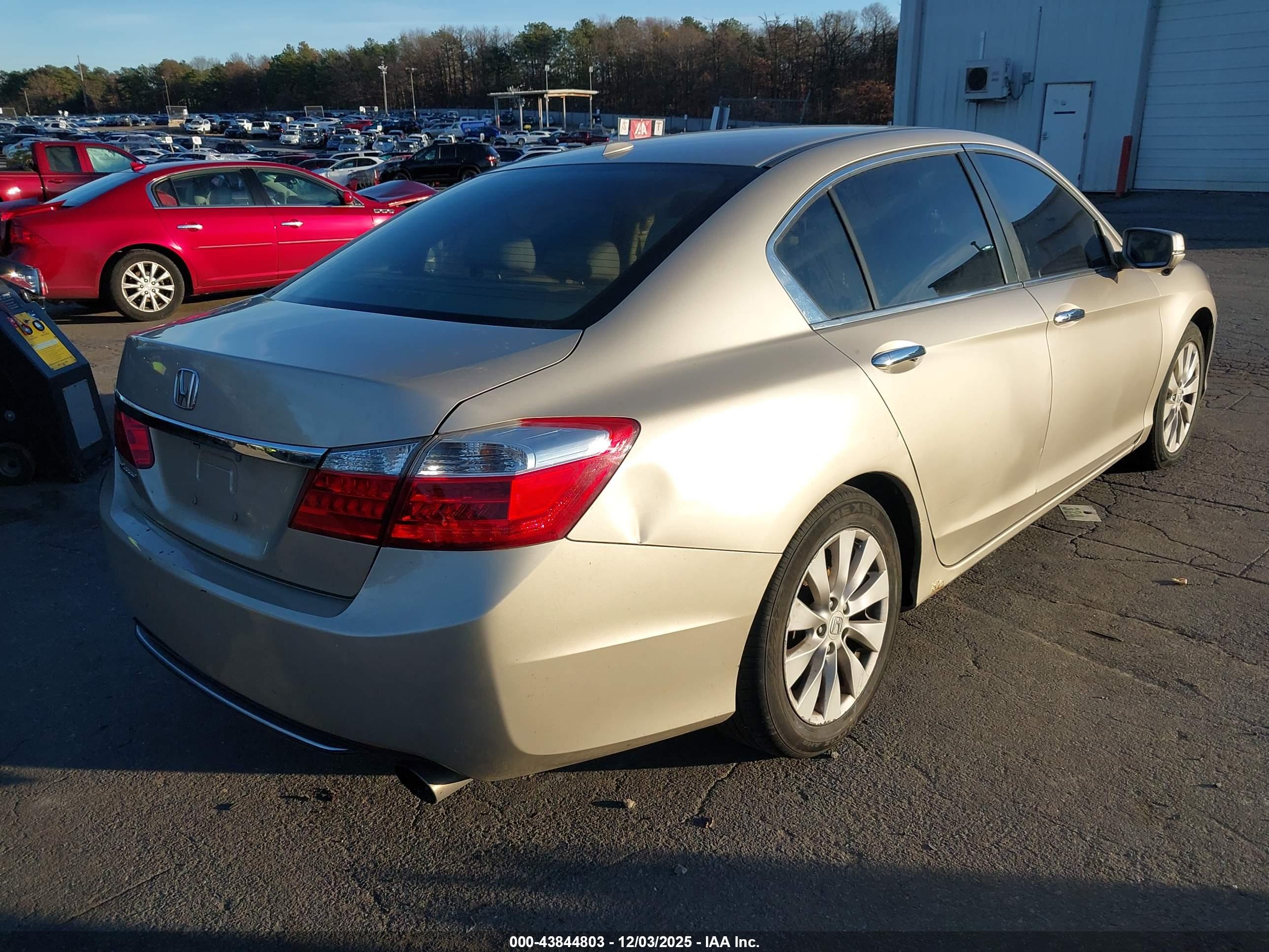 HONDA ACCORD image 4