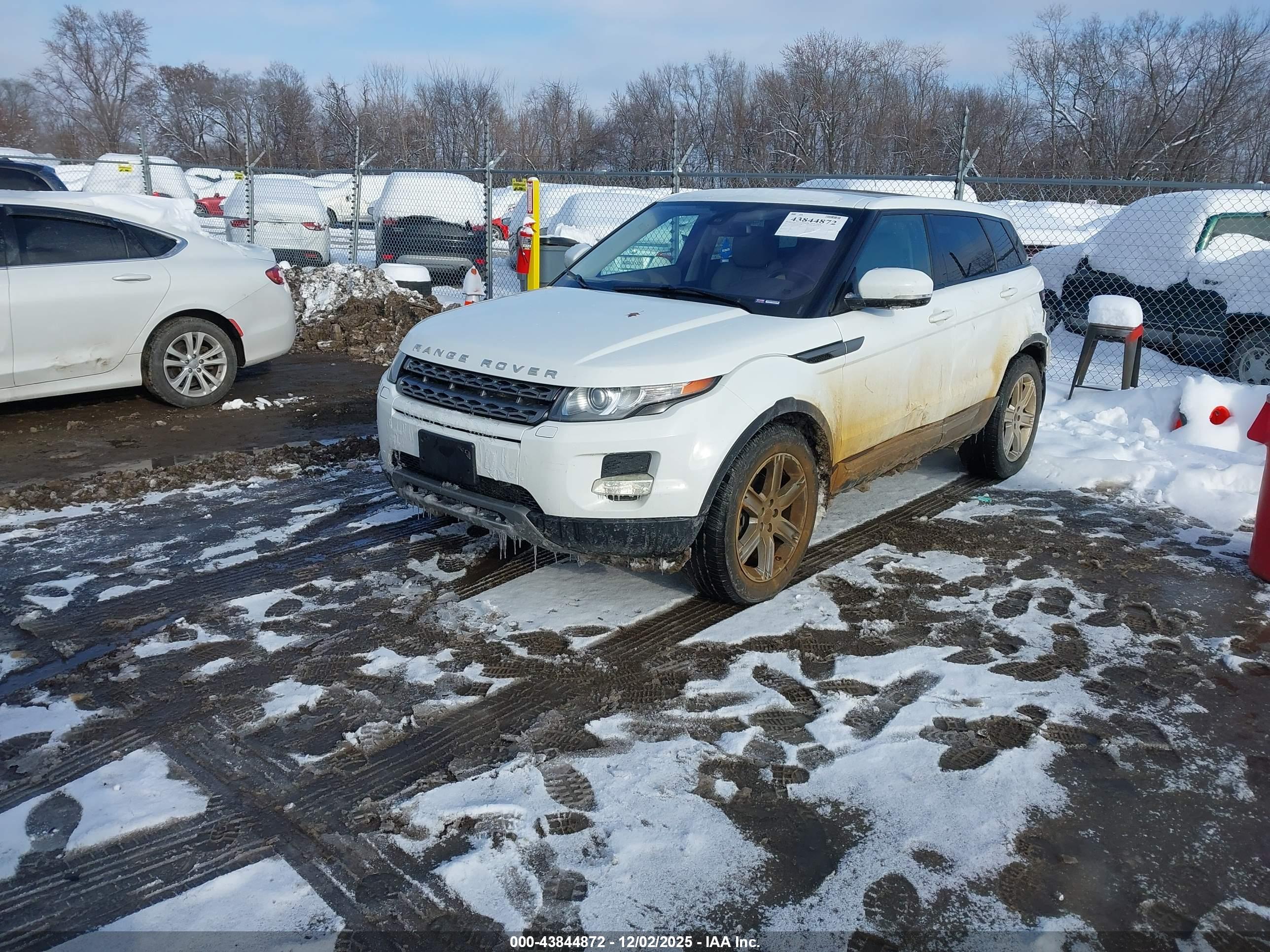 LAND ROVER image 2