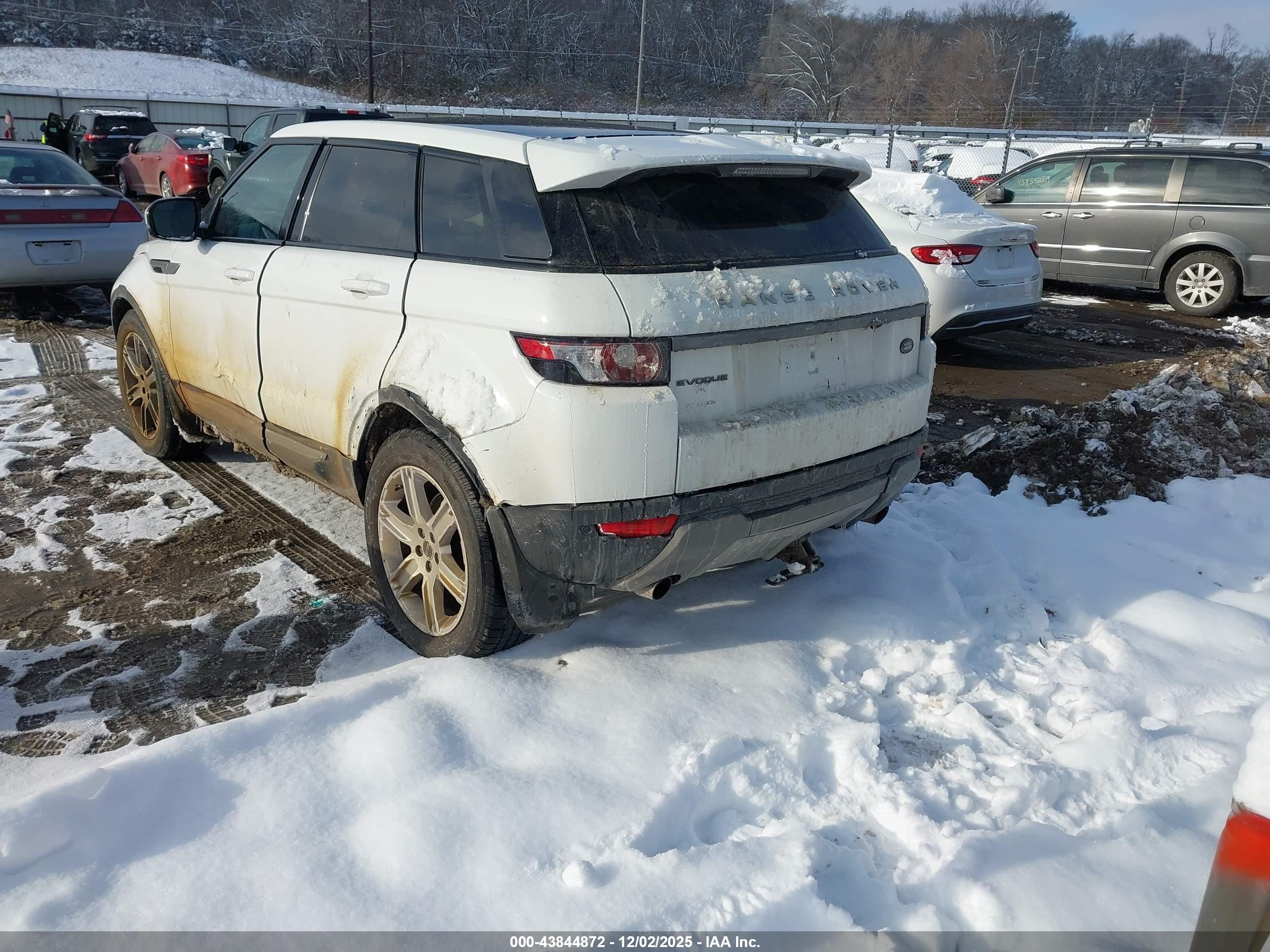 LAND ROVER image 3