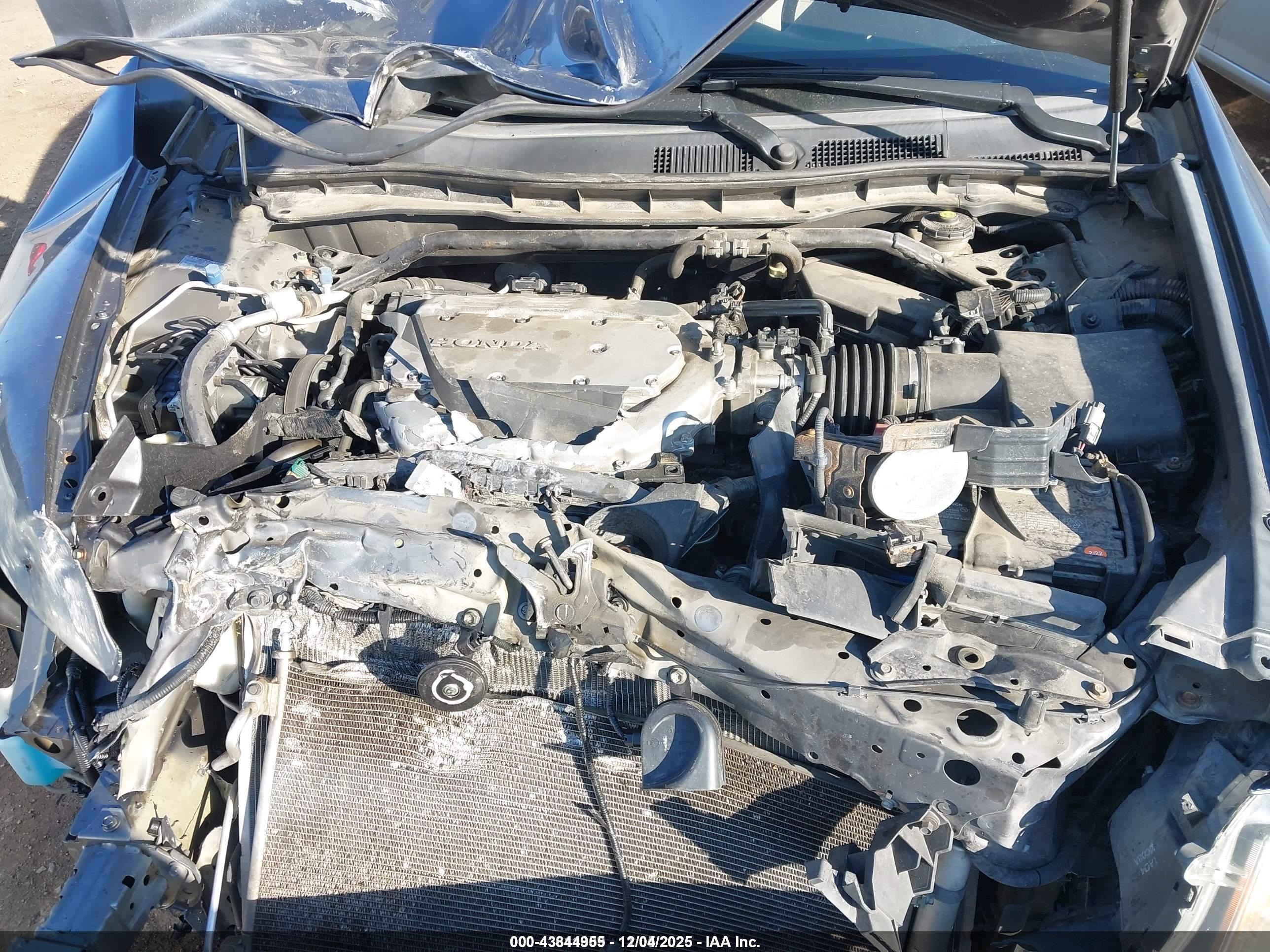 HONDA ACCORD image 10