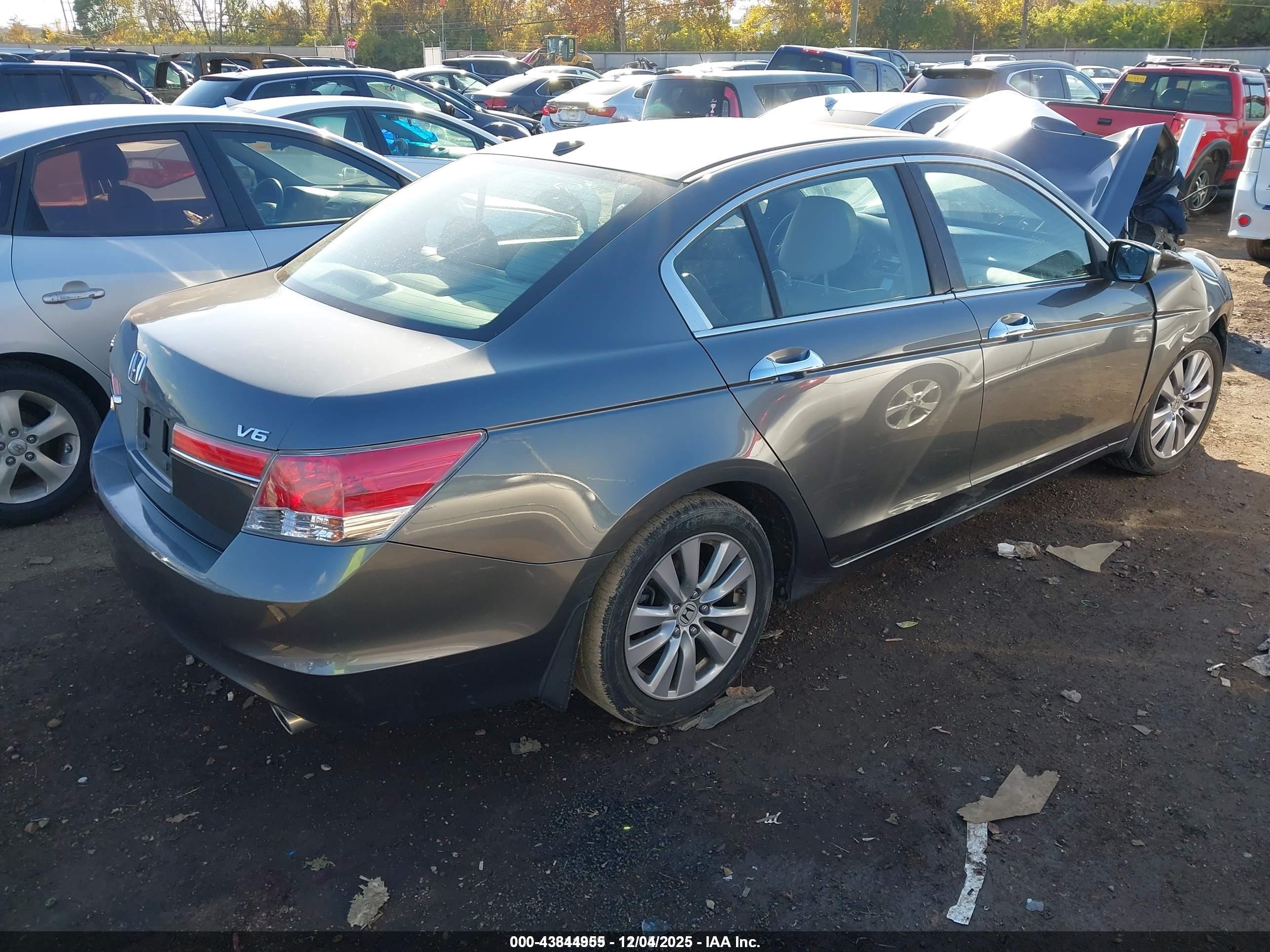 HONDA ACCORD image 4