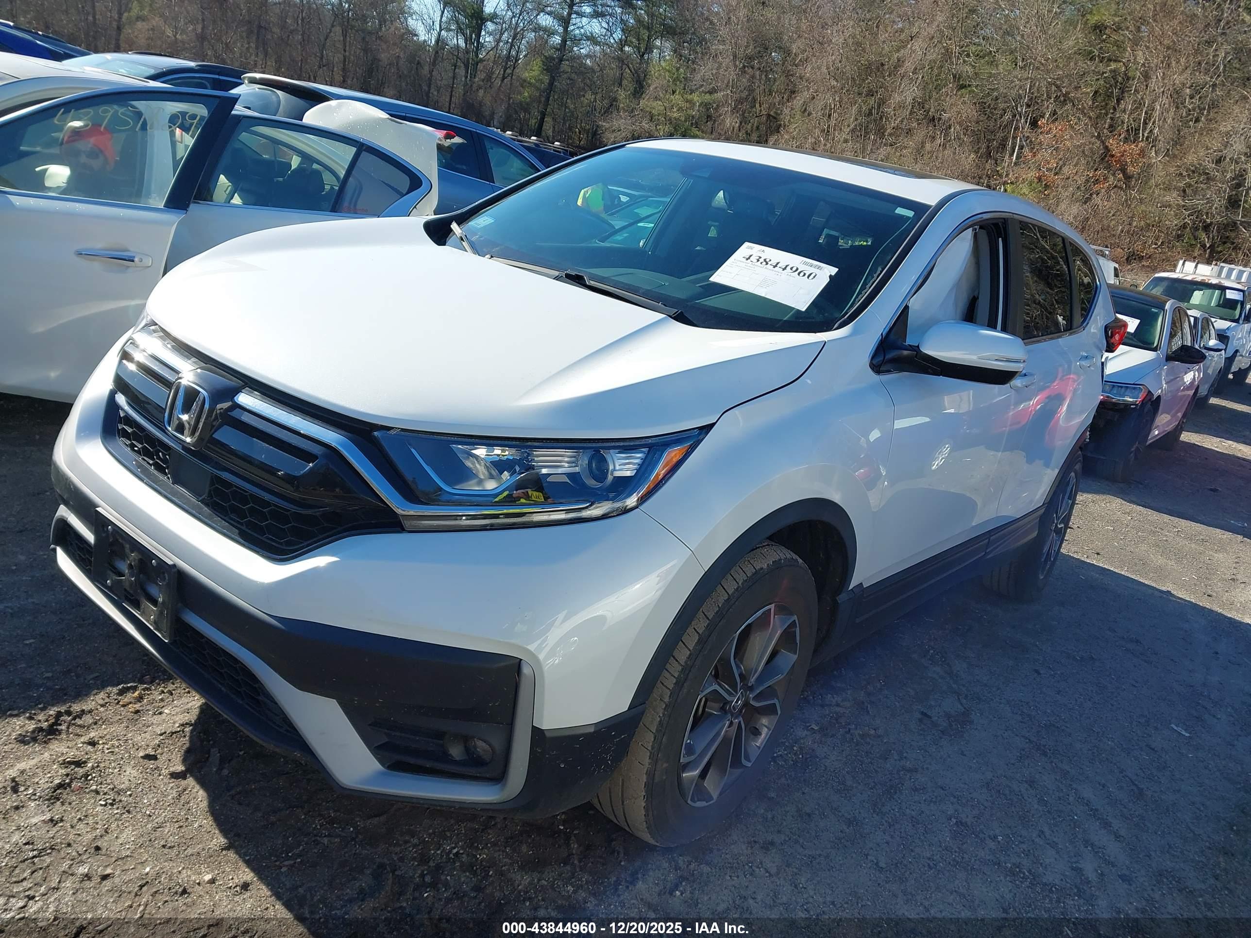 HONDA CR-V image 2