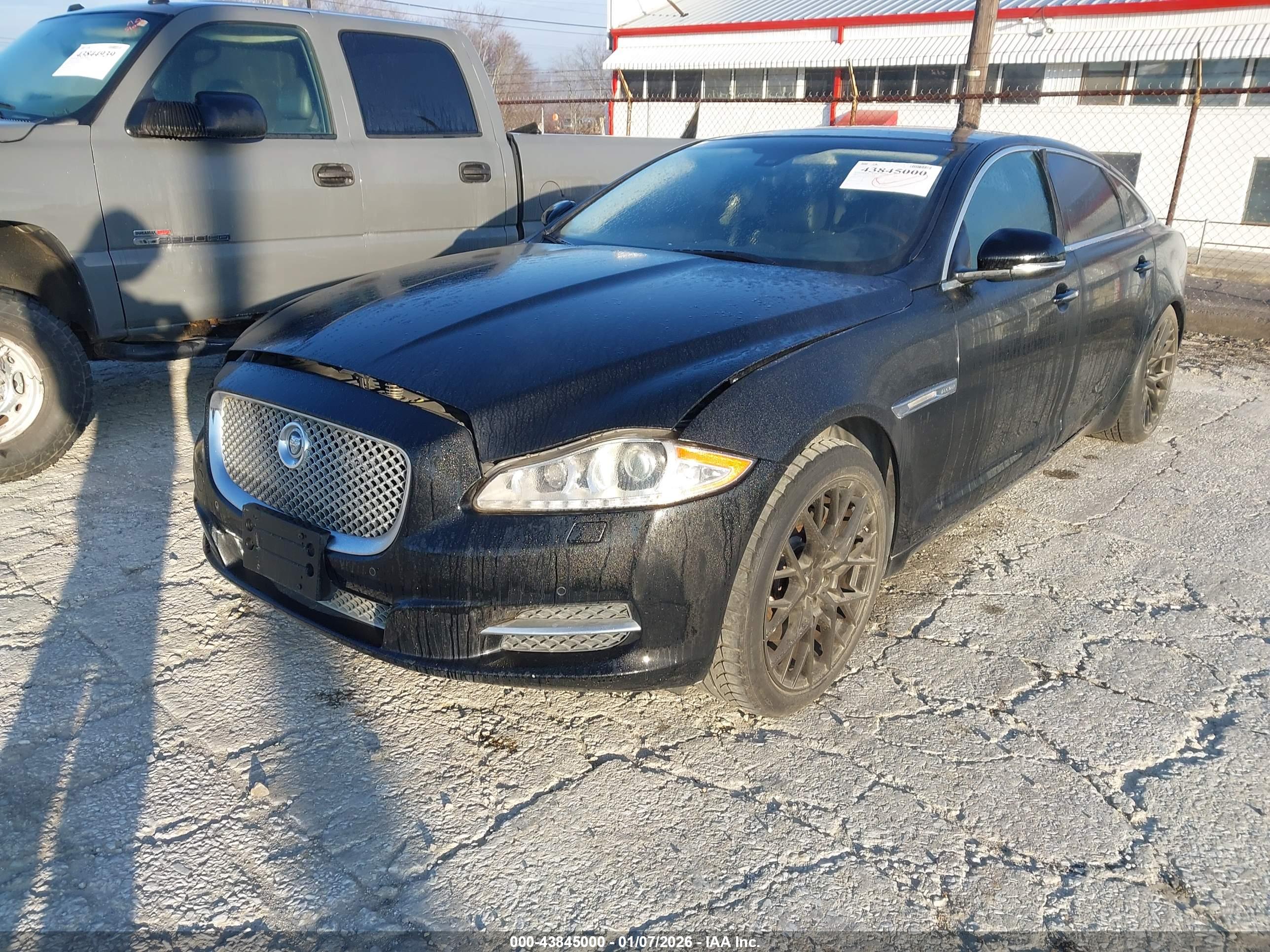 JAGUAR XJ image 2