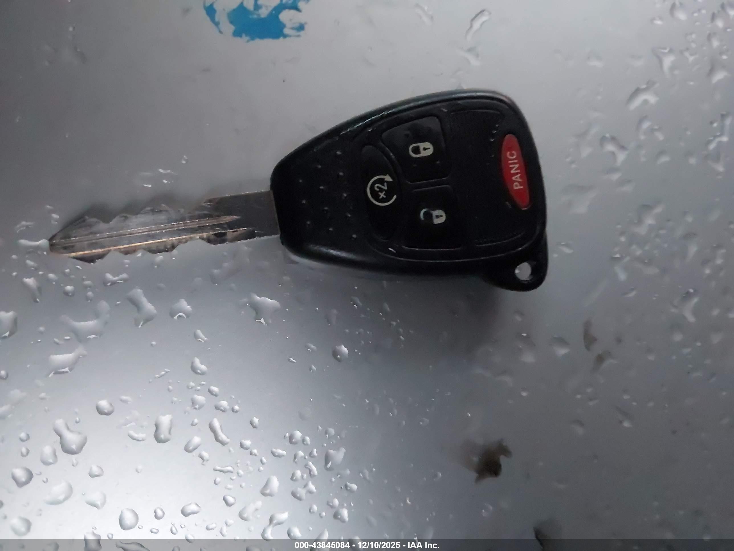JEEP WRANGLER image 11