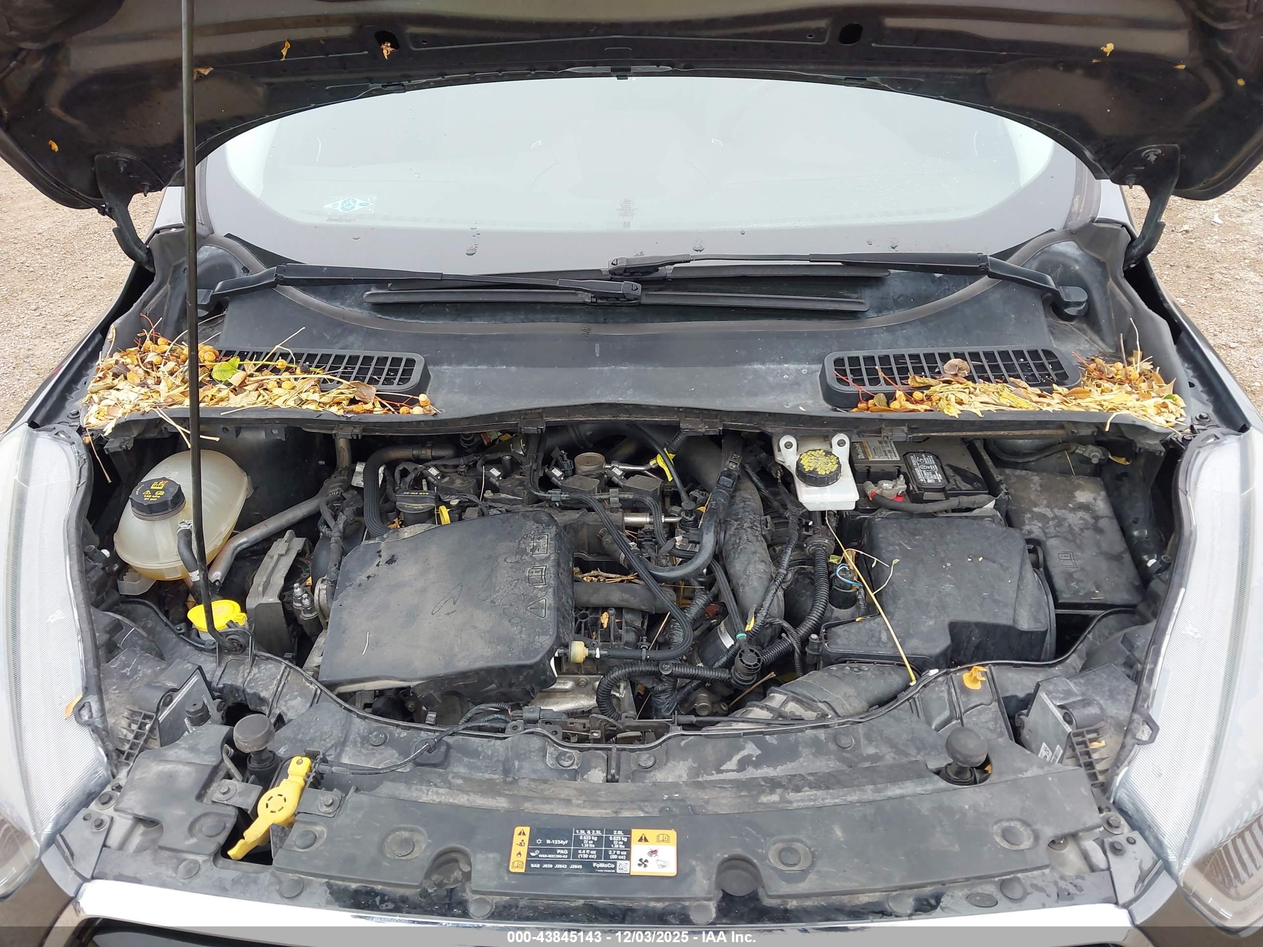 FORD ESCAPE image 10
