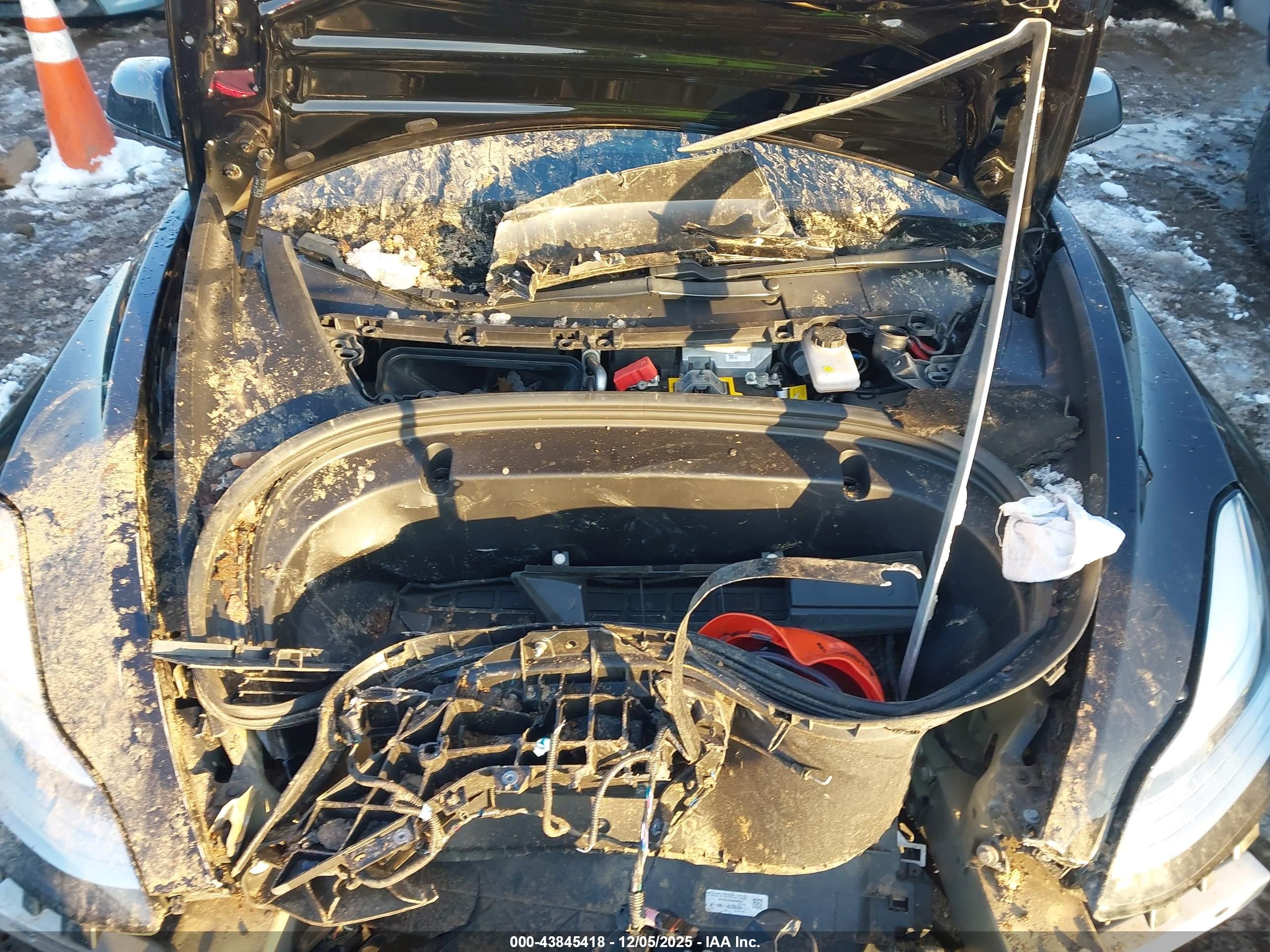 TESLA MODEL image 10