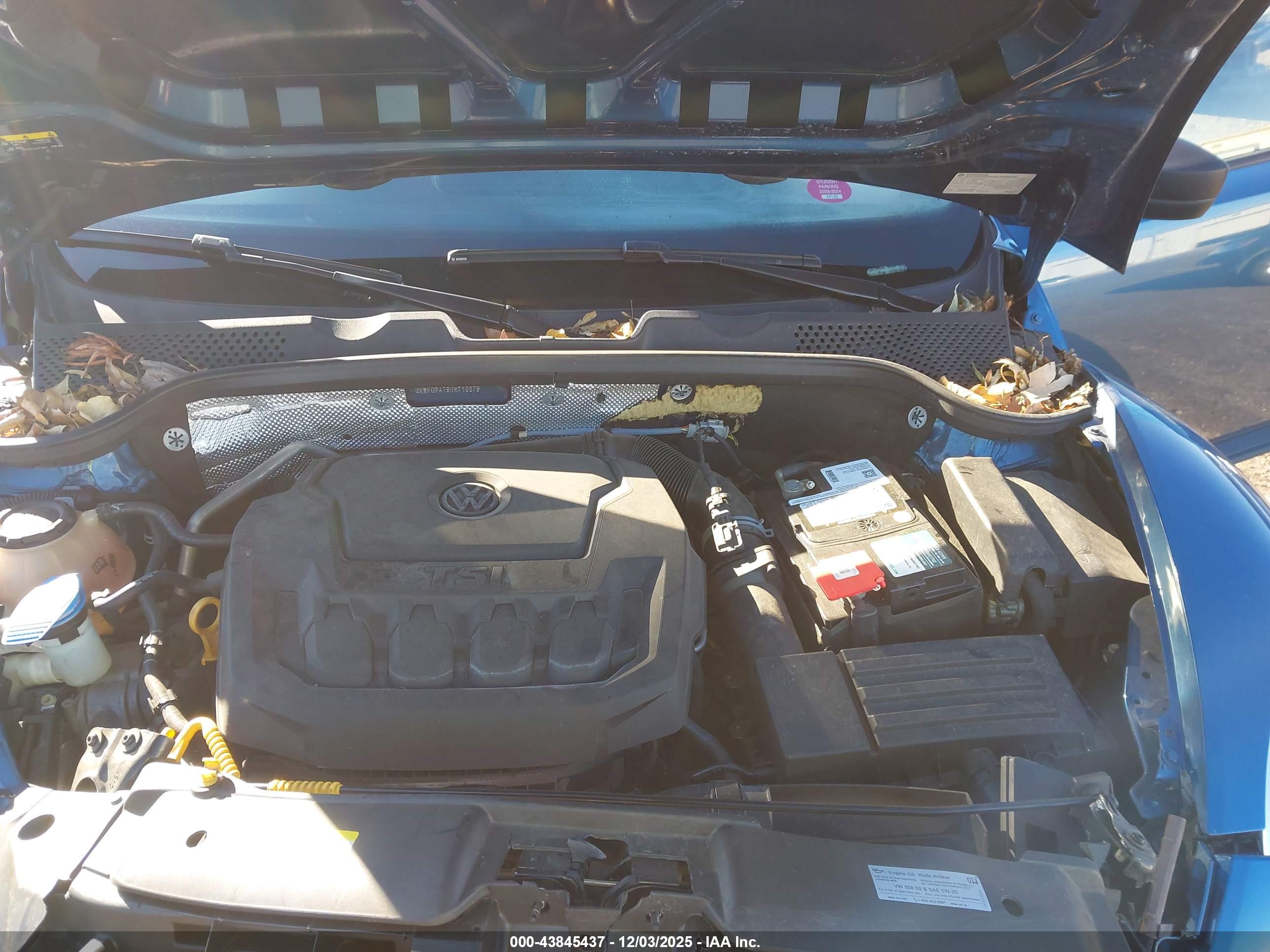 VOLKSWAGEN BEETLE image 10