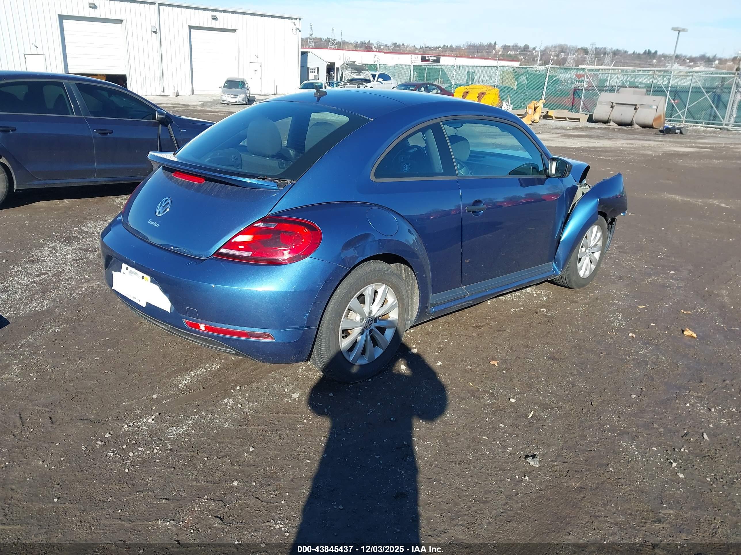 VOLKSWAGEN BEETLE image 4
