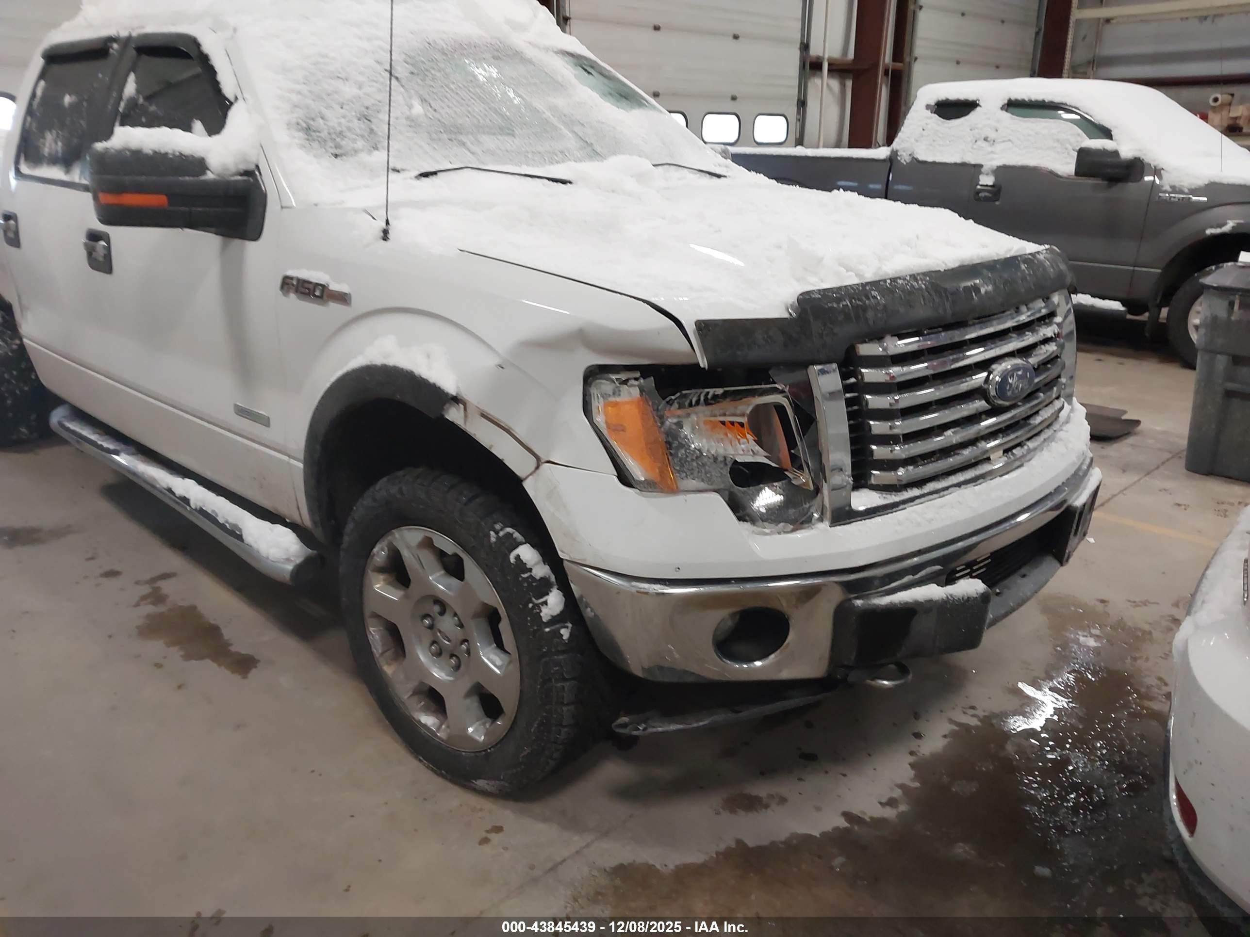 FORD F-150 image 6