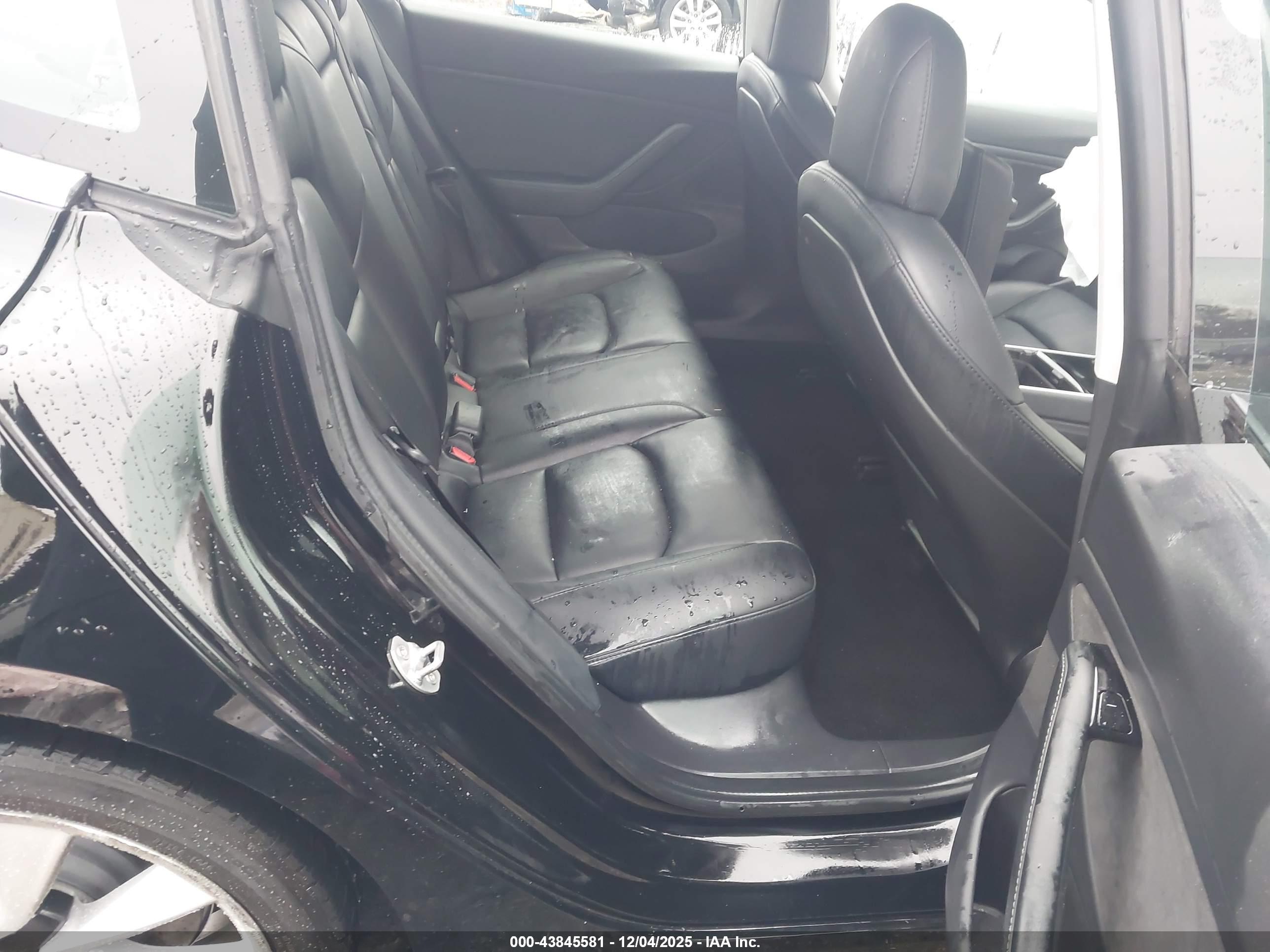 TESLA MODEL image 8