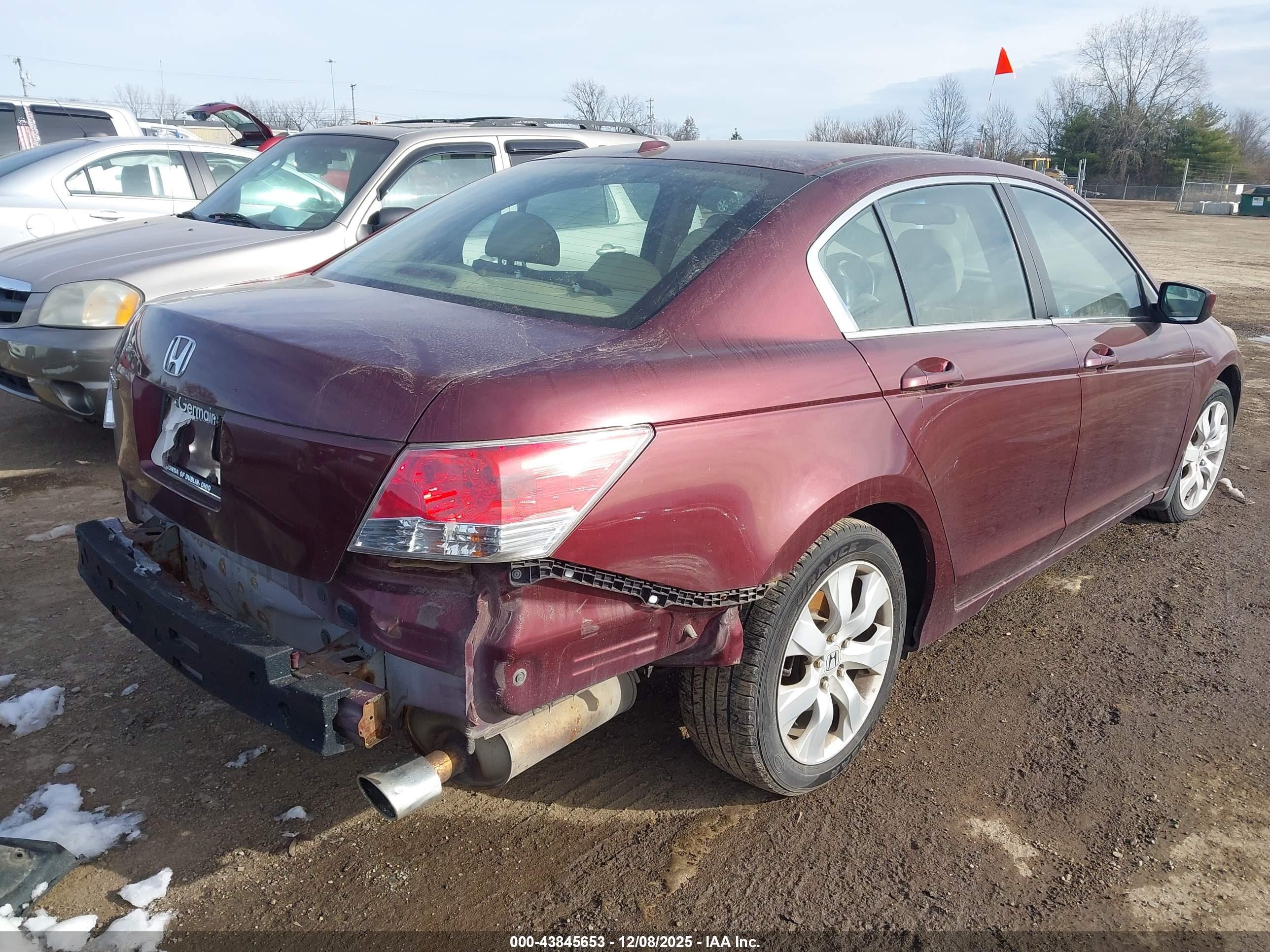 HONDA ACCORD image 4