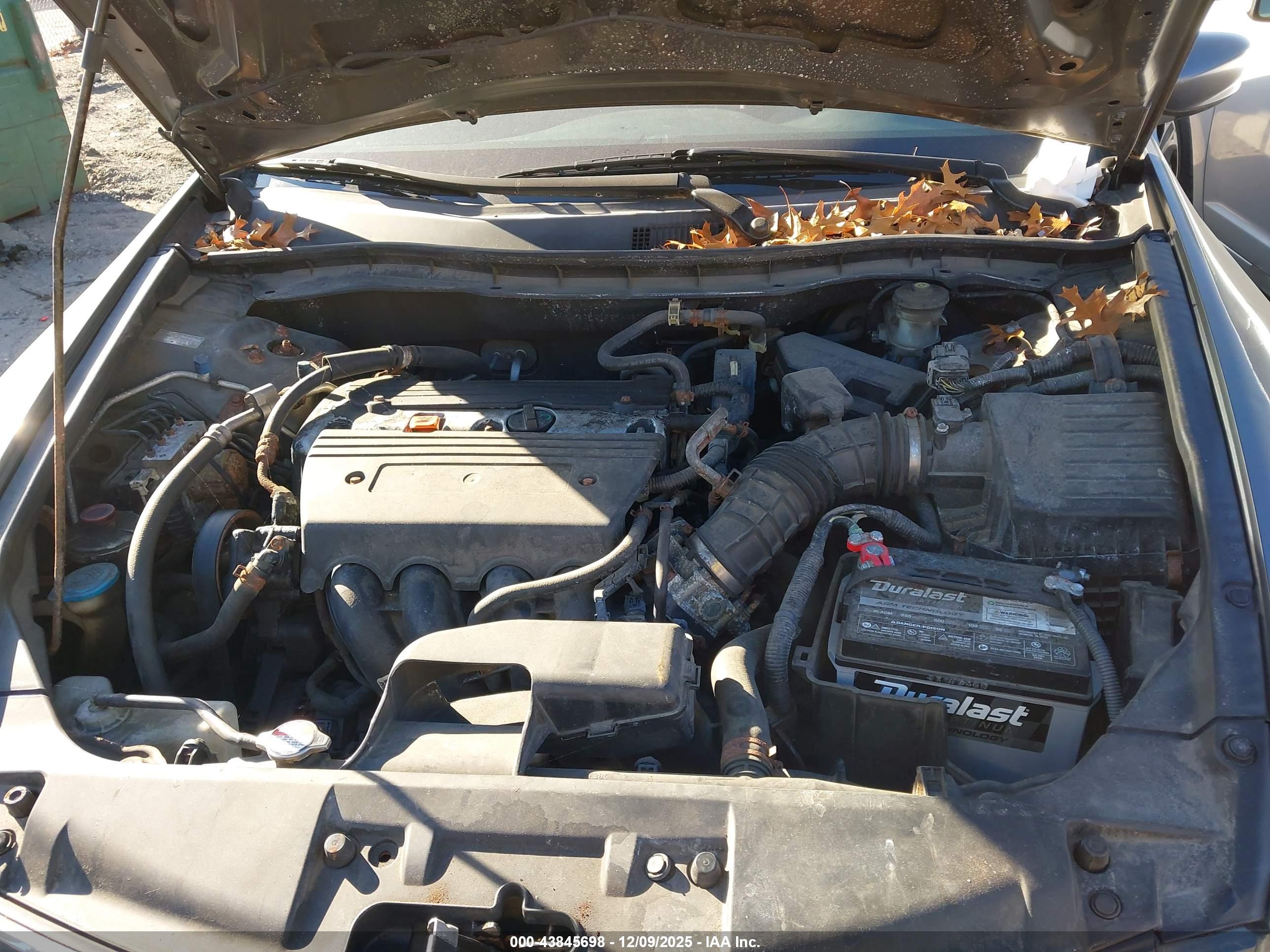 HONDA ACCORD image 10