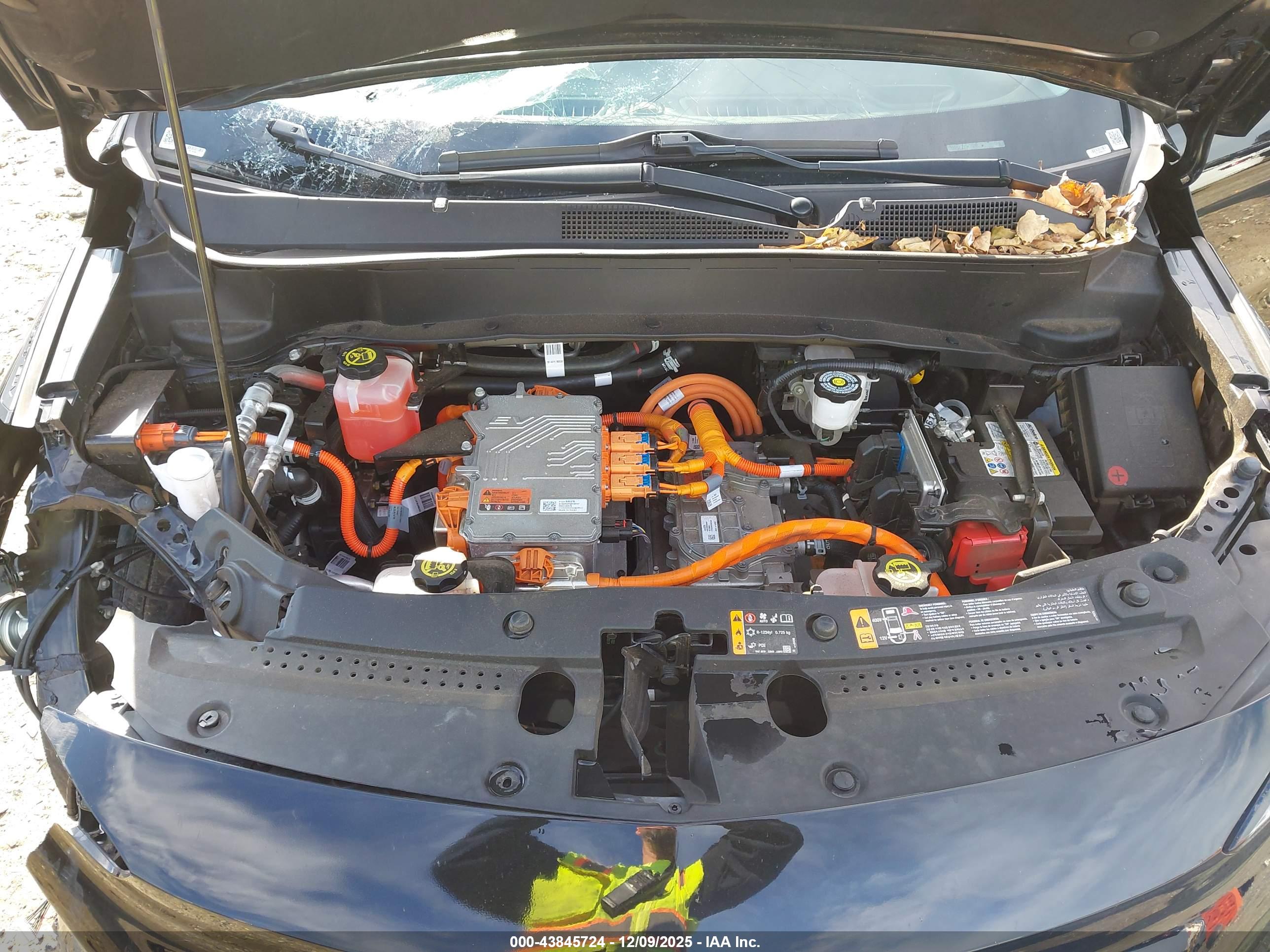 CHEVROLET BOLT image 10