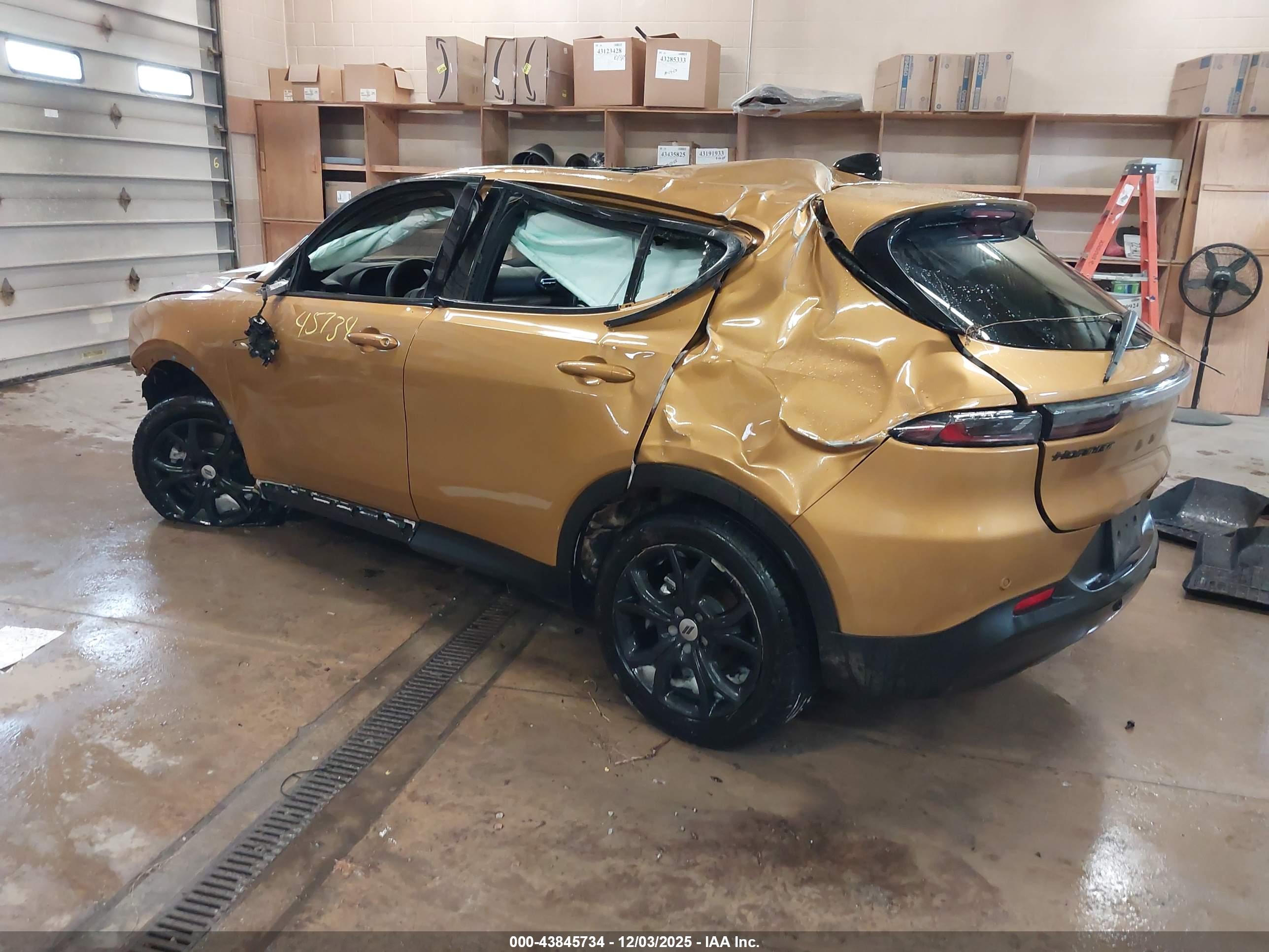 DODGE HORNET image 3