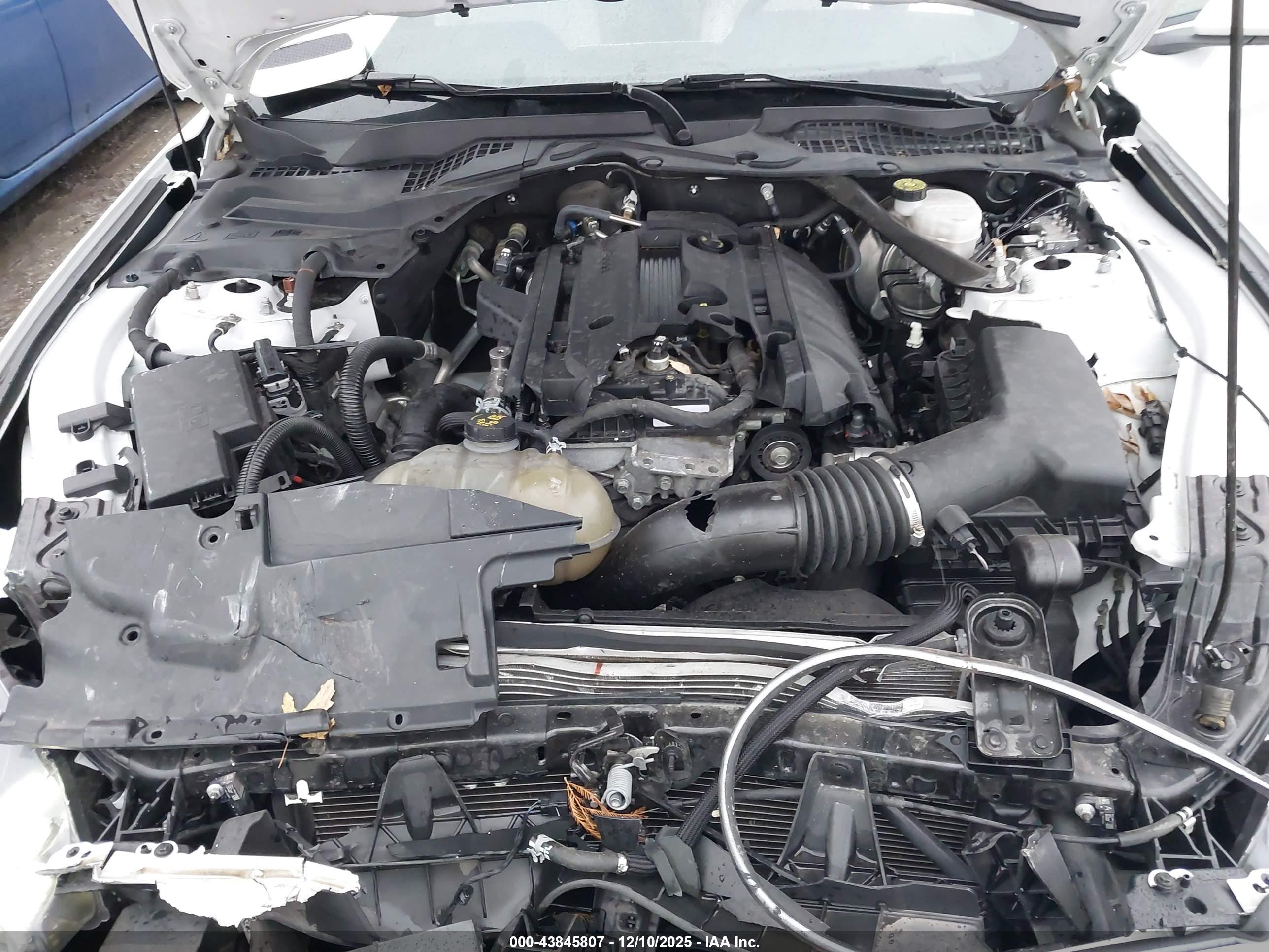 FORD MUSTANG image 10