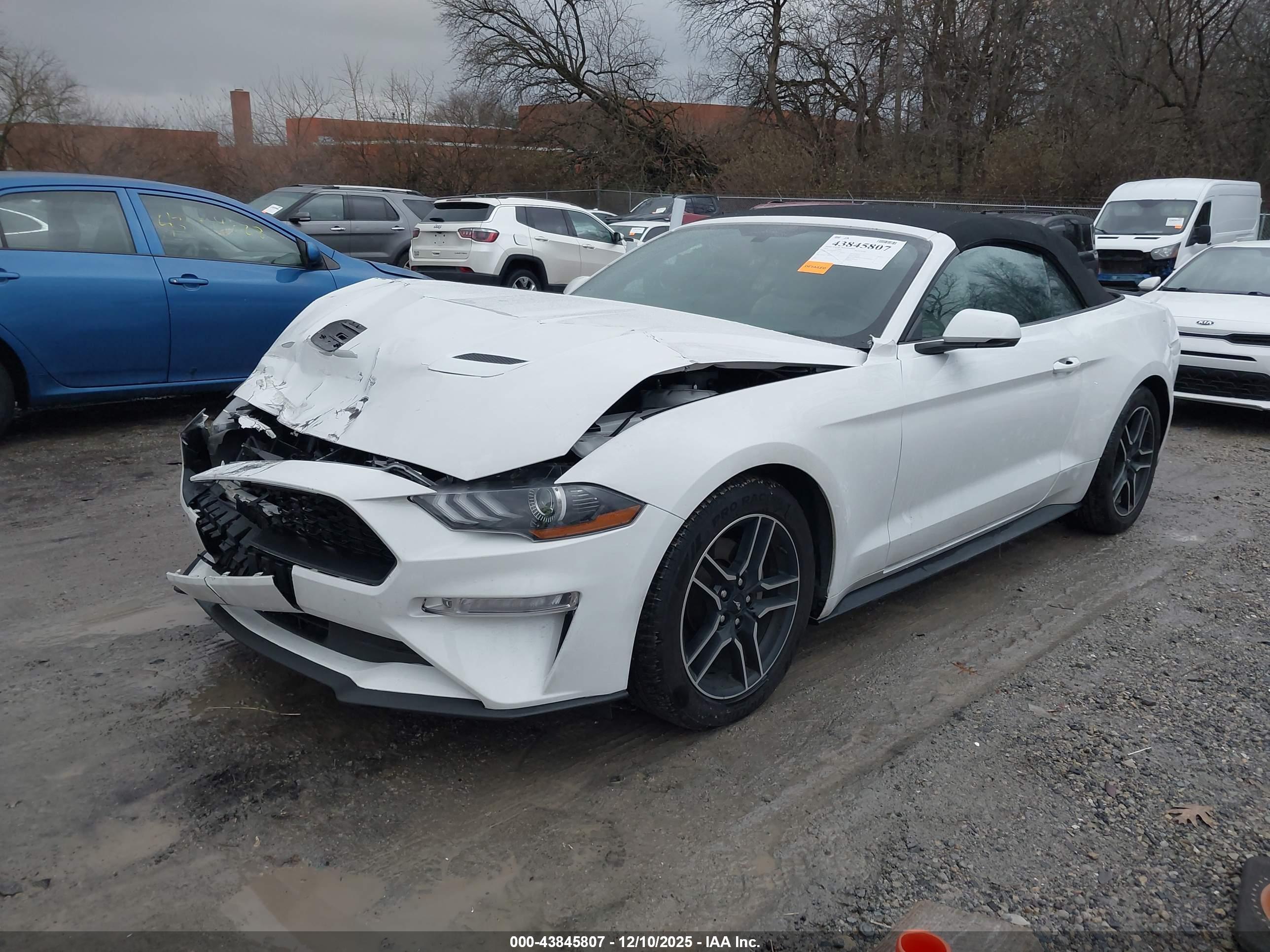 FORD MUSTANG image 2